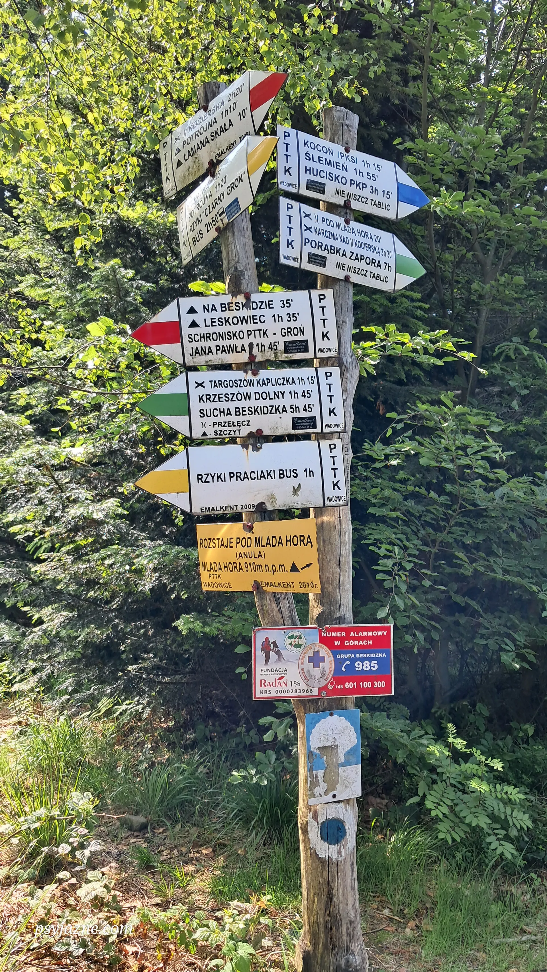 szlaki