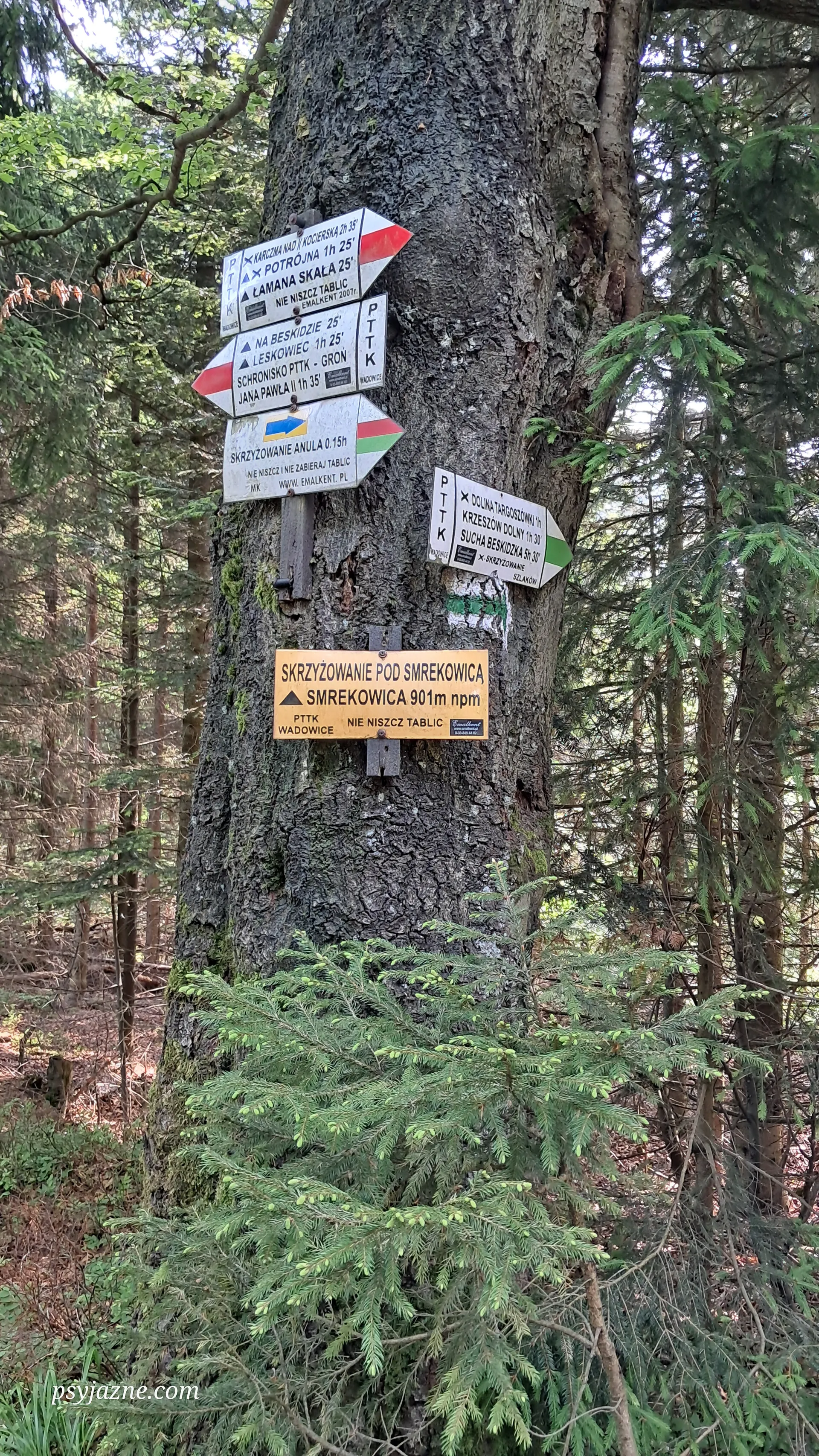 Szlaki