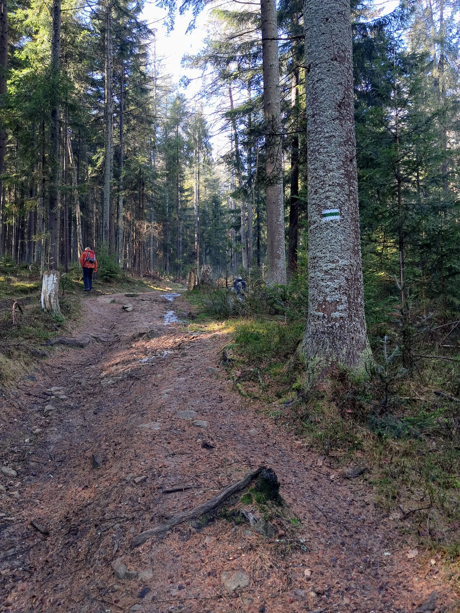 Szlaki Beskidu Małego