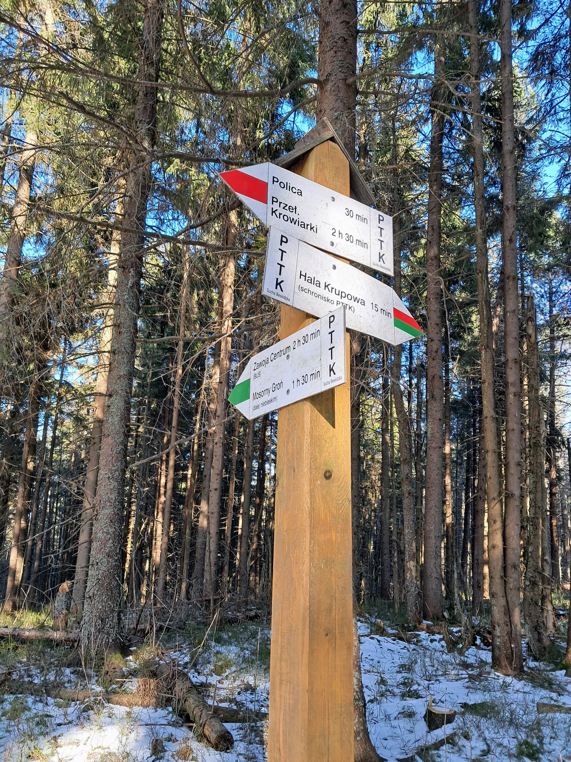 Szlaki w Paśmie Policy
