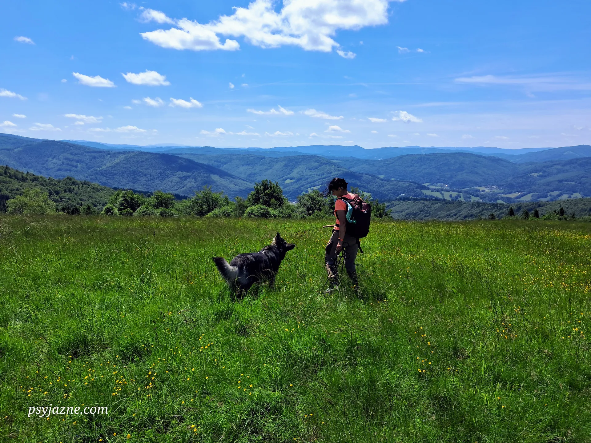 Szyndzielnia, Klimczok, Błatnia. Beskid Śląski