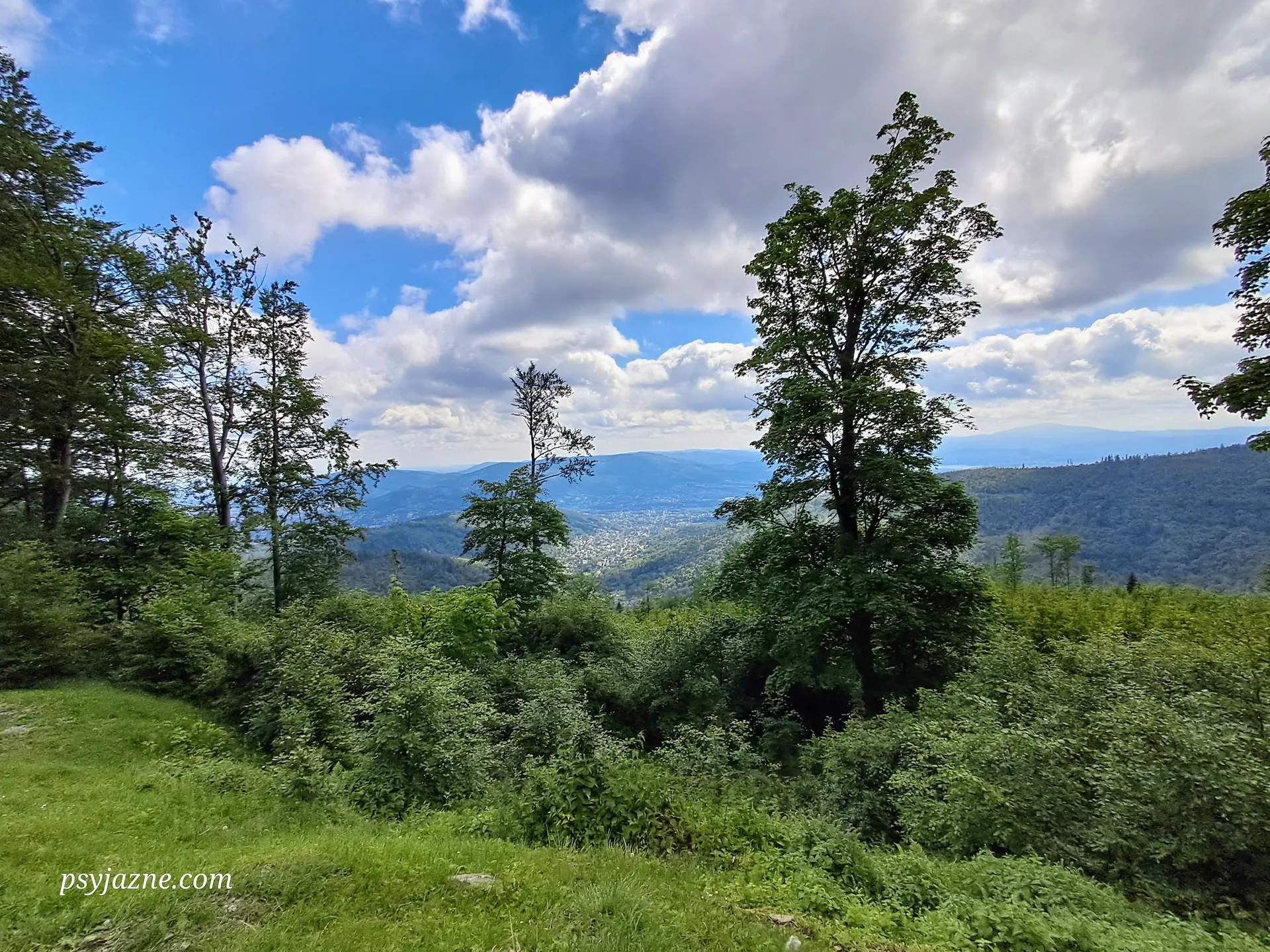 Widok z Szyndzielni