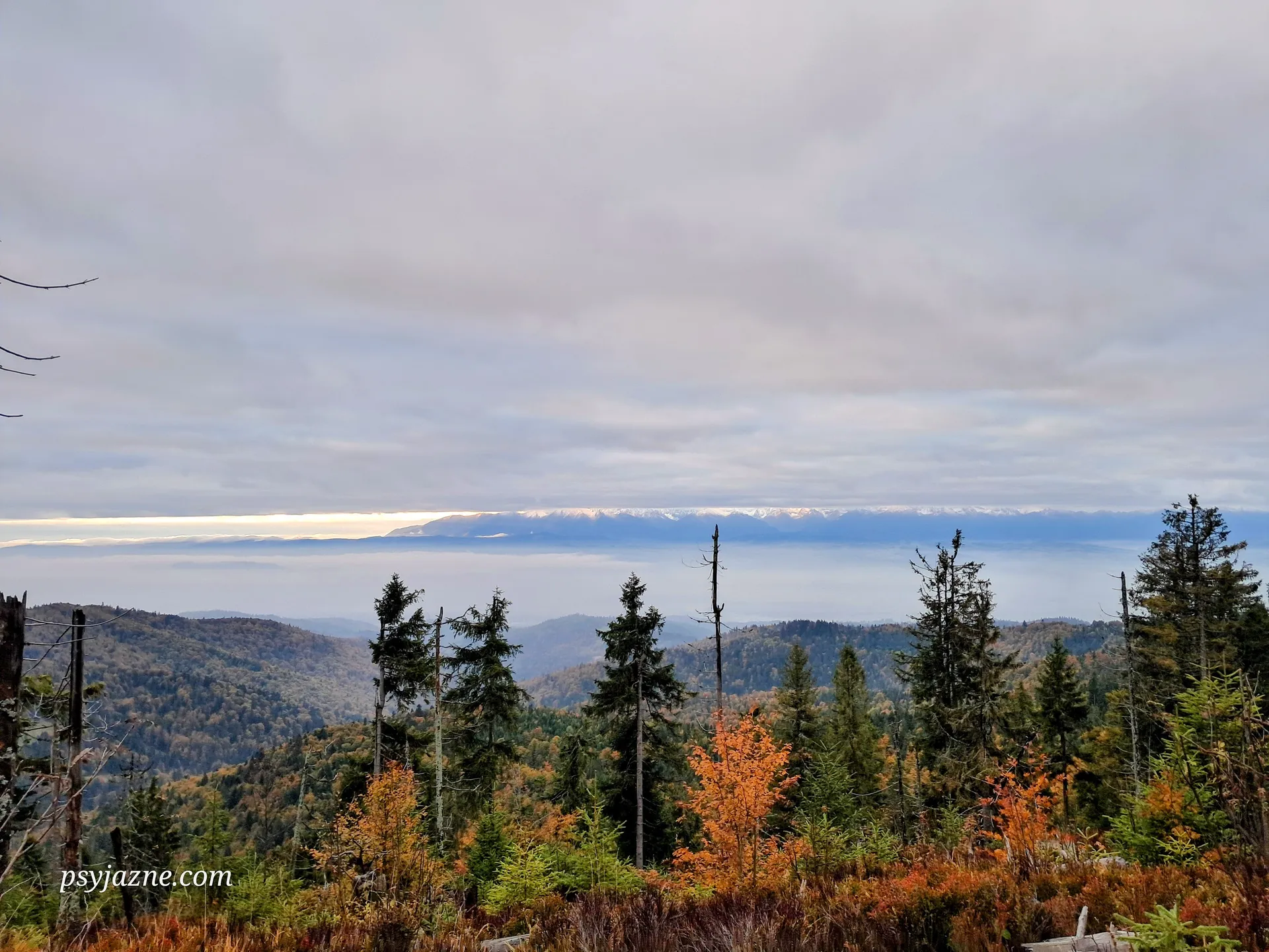 Widok z Turbacza na Tatry
