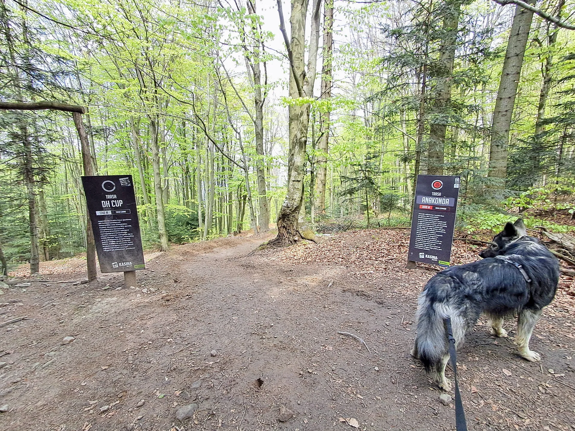 Trasy rowerowe na Śnieżnicy