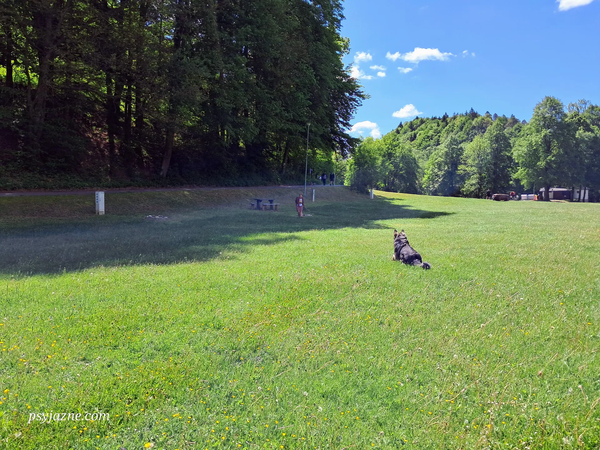 Trening k-9