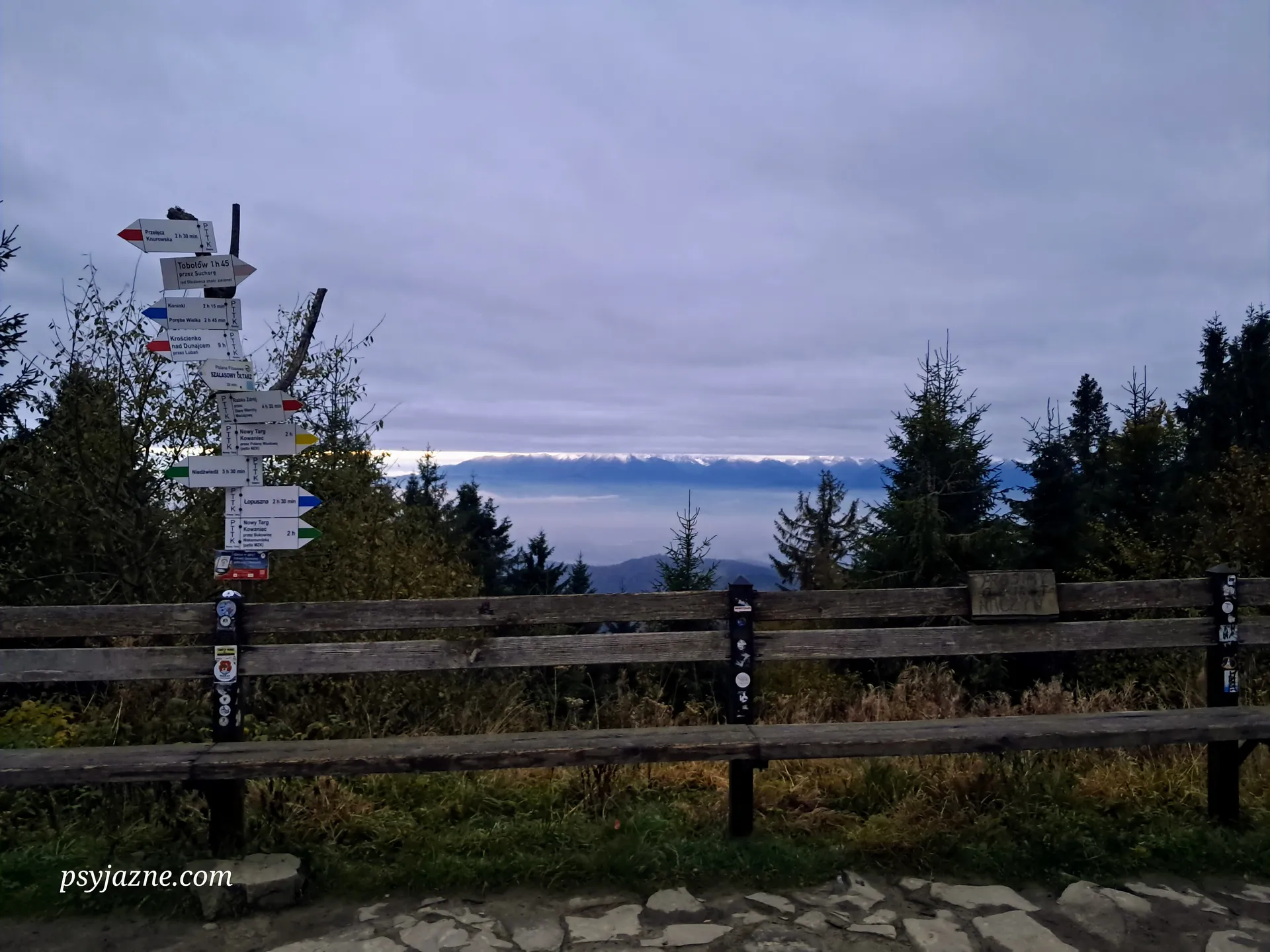 Widok ze schroniska na Turbaczu