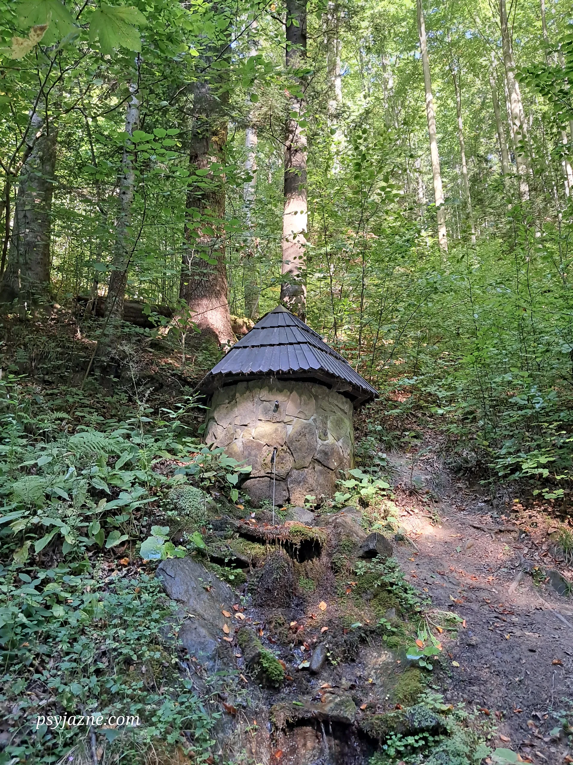 Ujęcie wody mineralnej