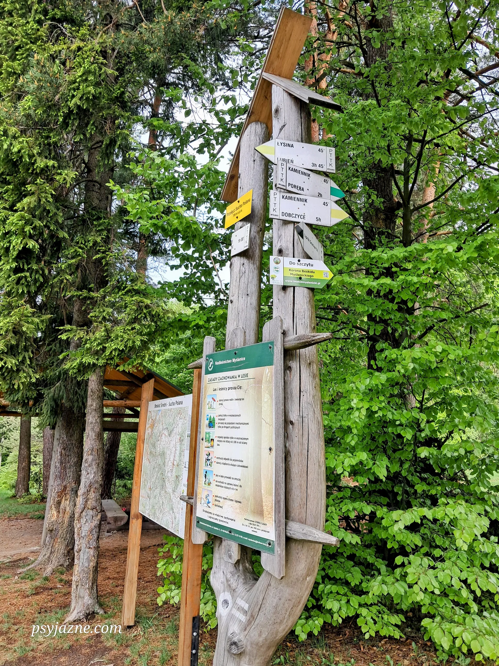 Węzeł szlaków