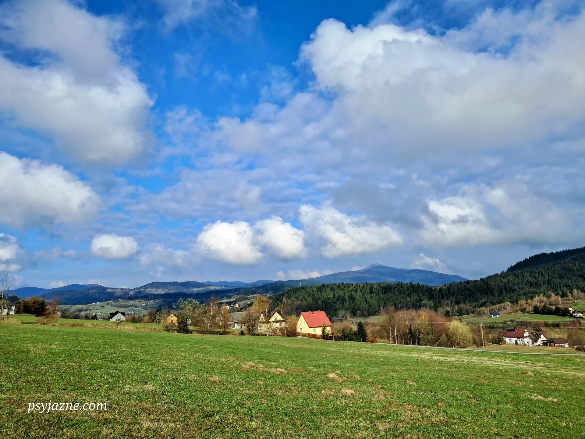 widok