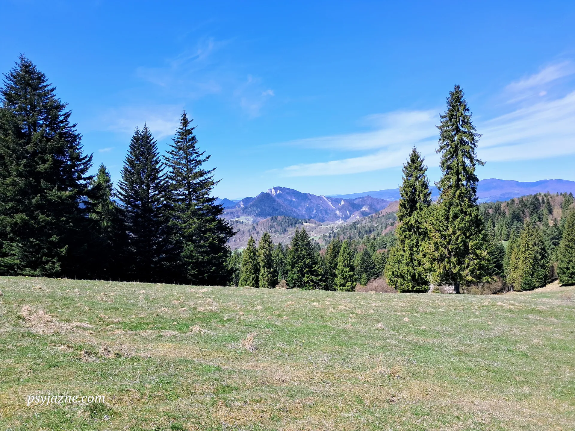 Widok