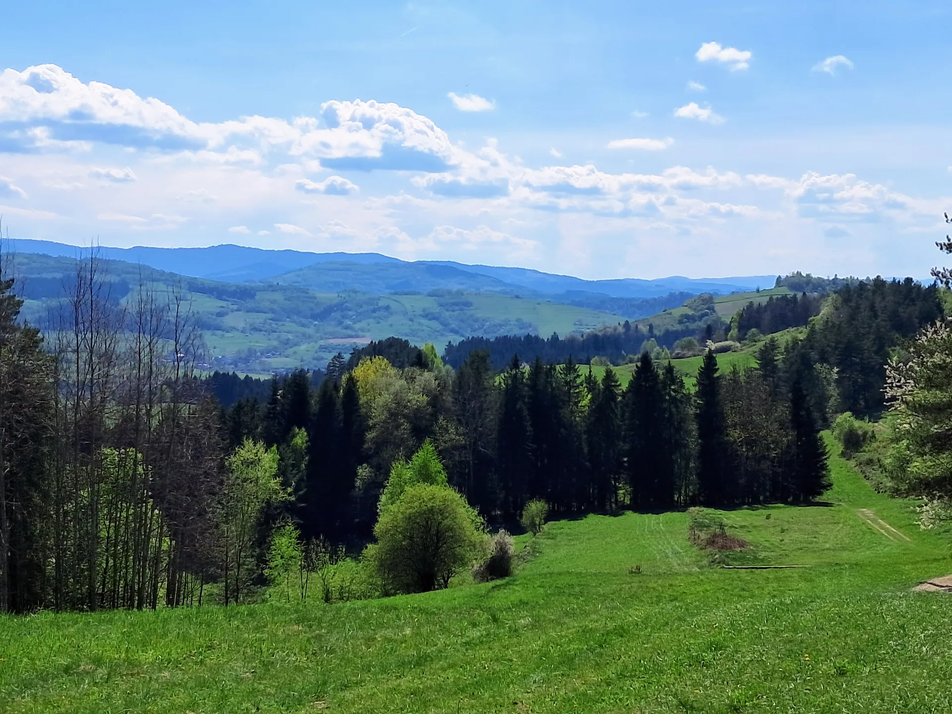 Widok
