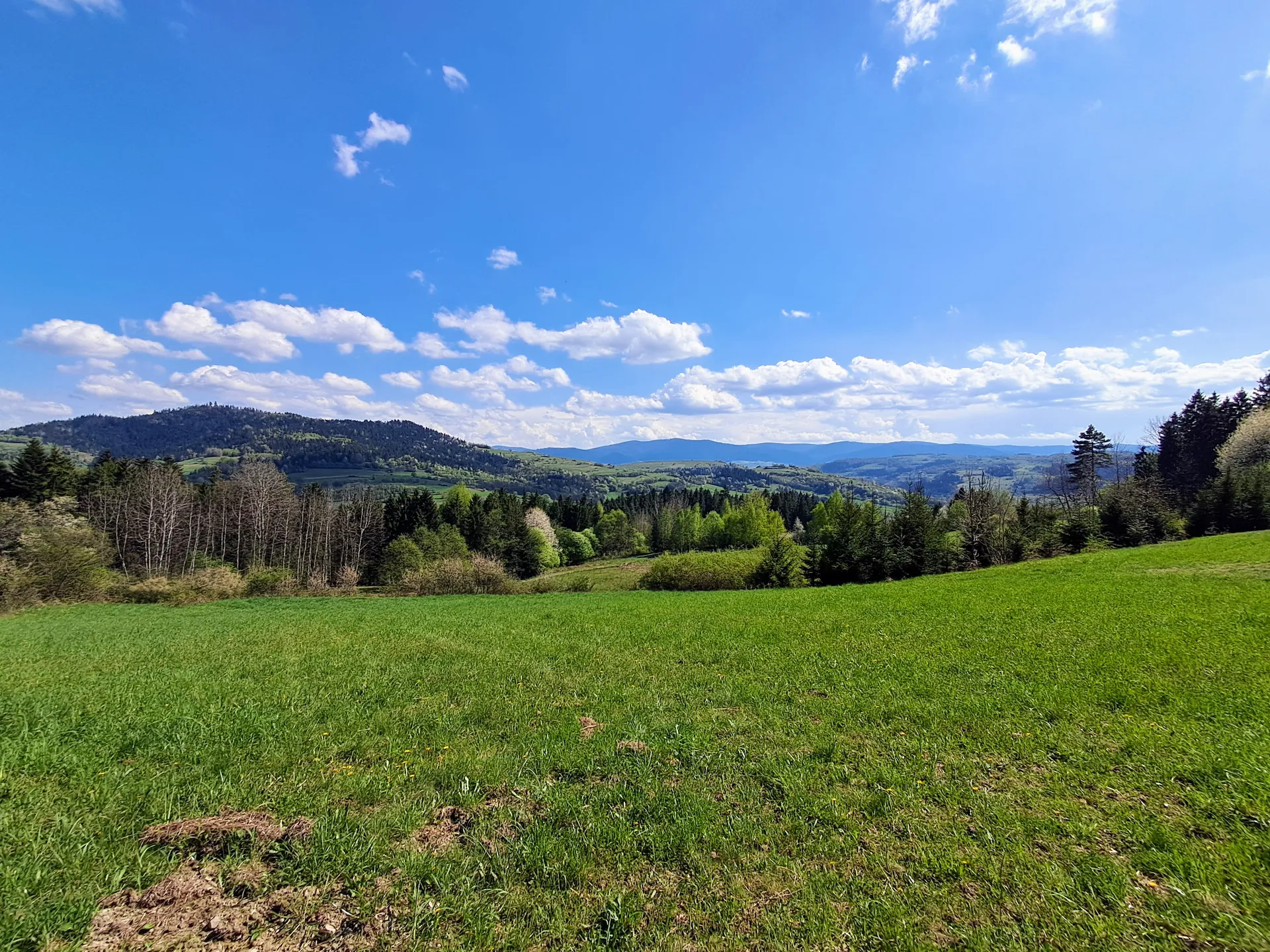 Widok