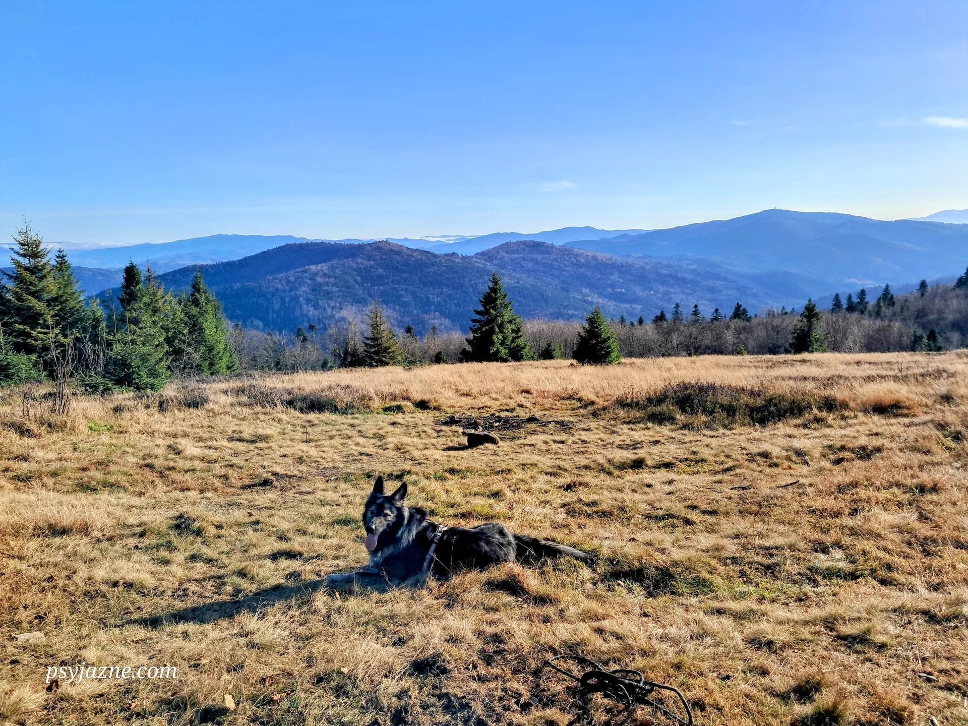 Widok na Beskid Sądecki