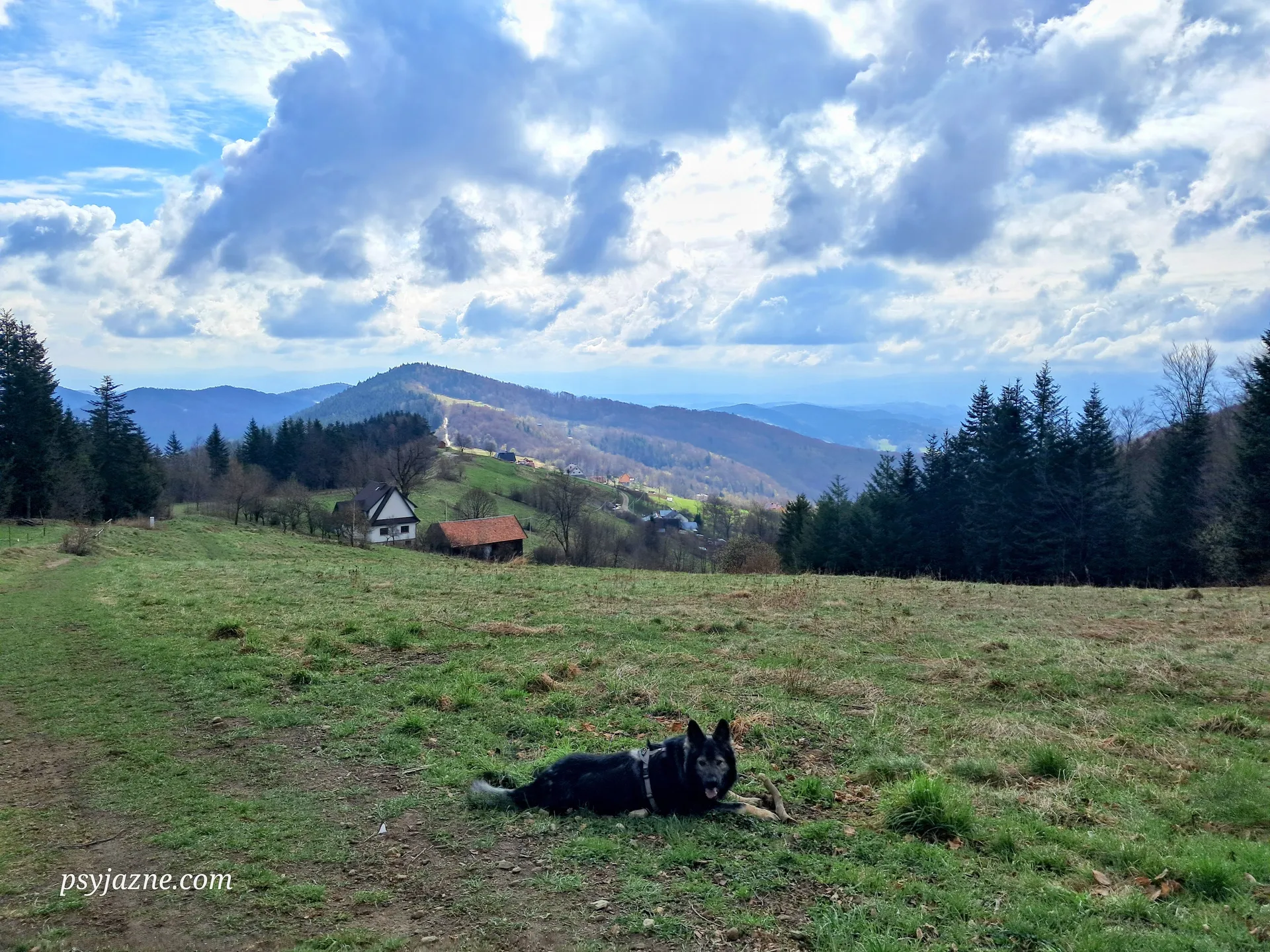 Widok na Jasieńczyk