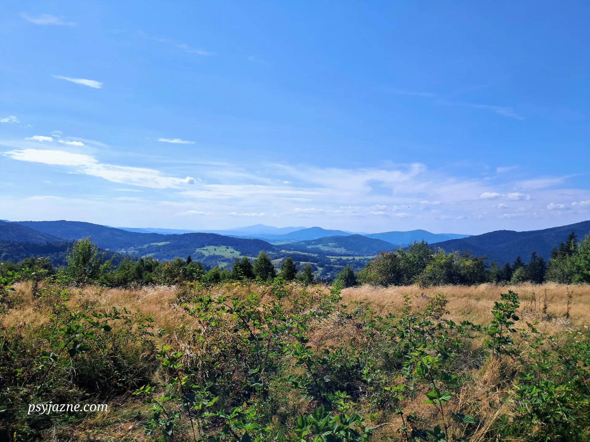 Widok na Beskid Wyspowy i Żywiecki
