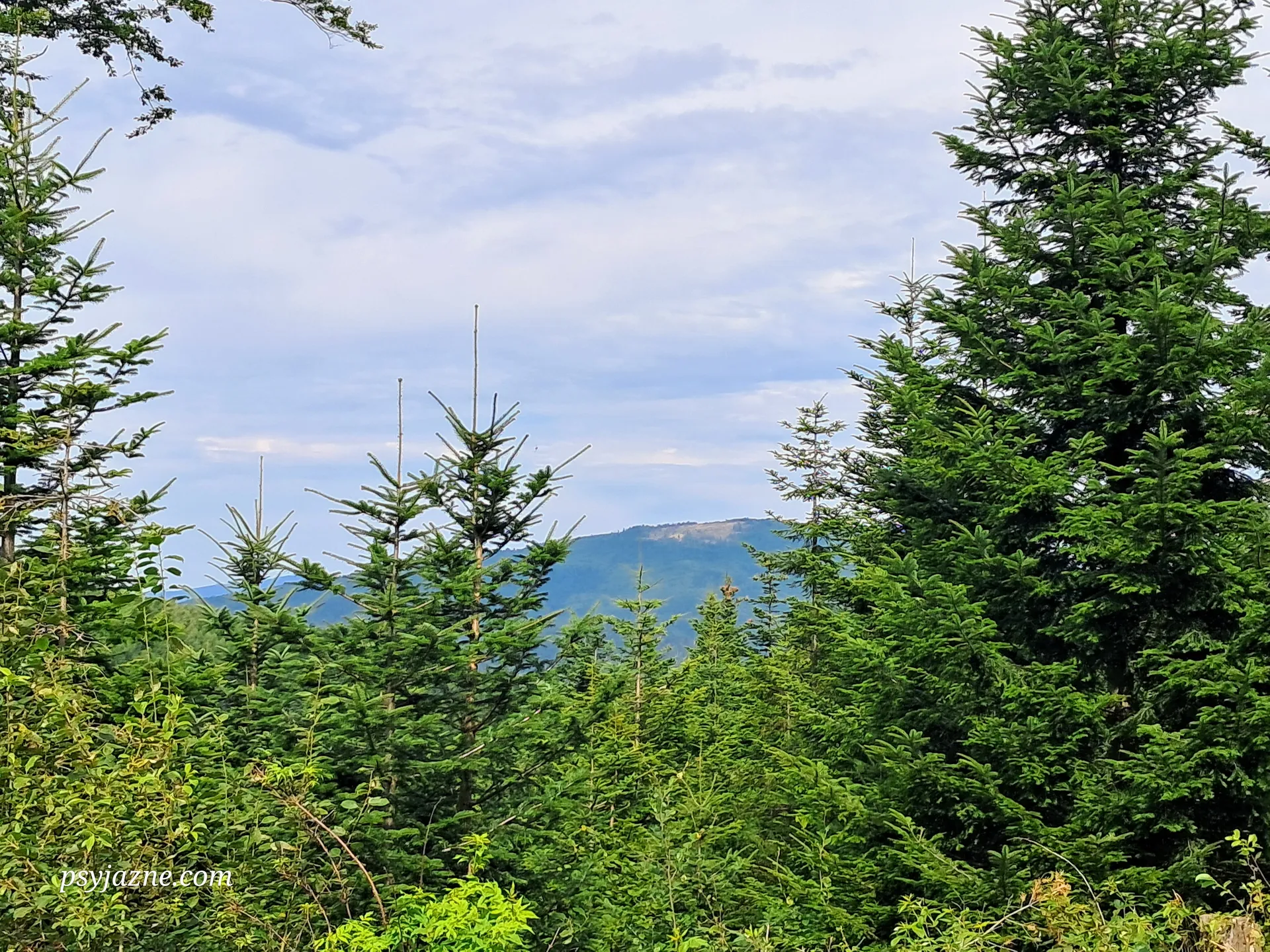 Widok na Ćwilin