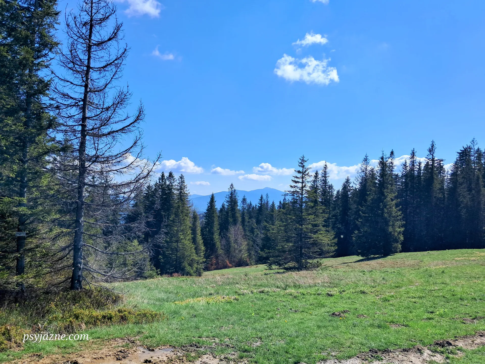 Widok na Diablak