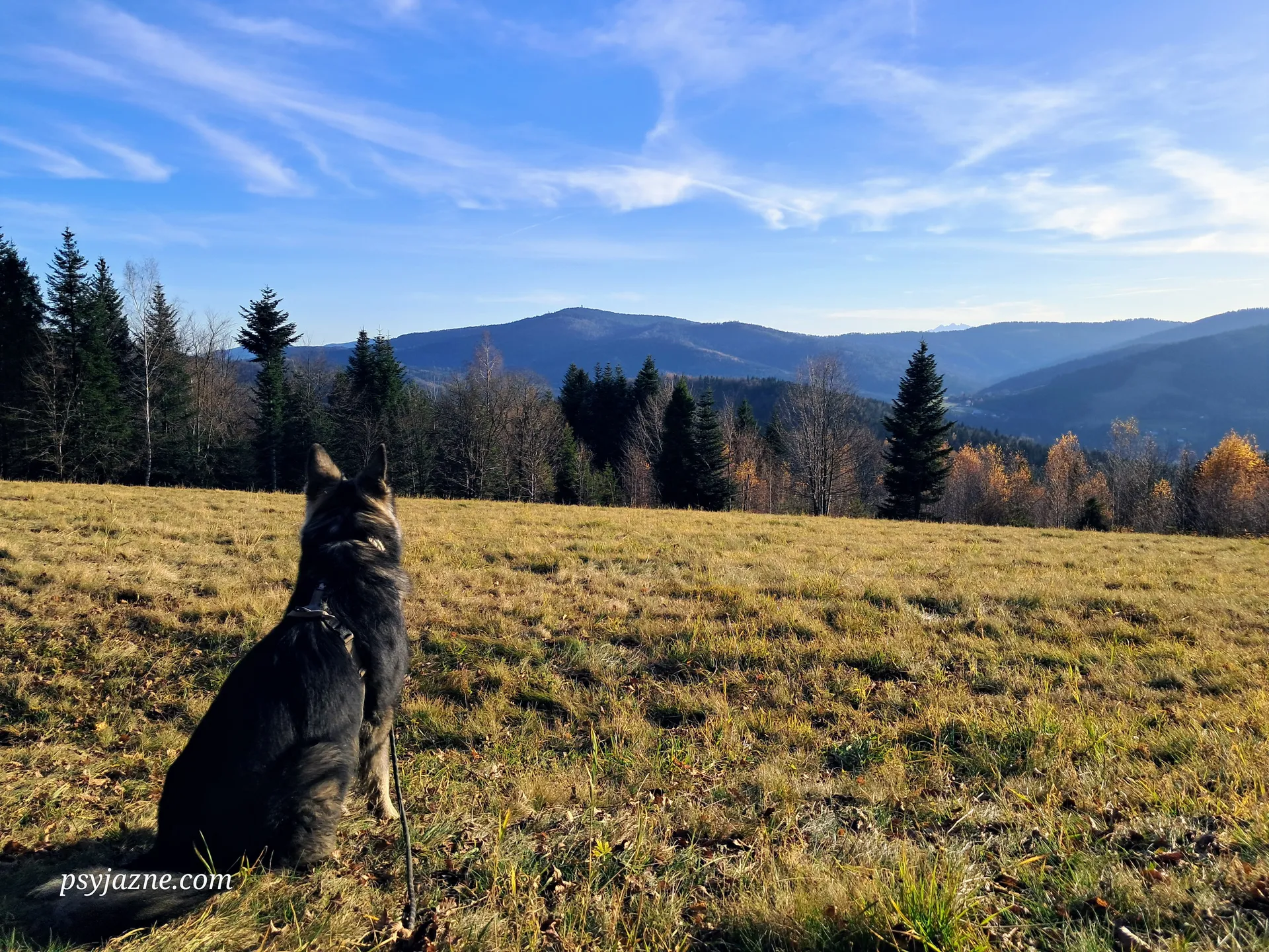 Widok na Gorce