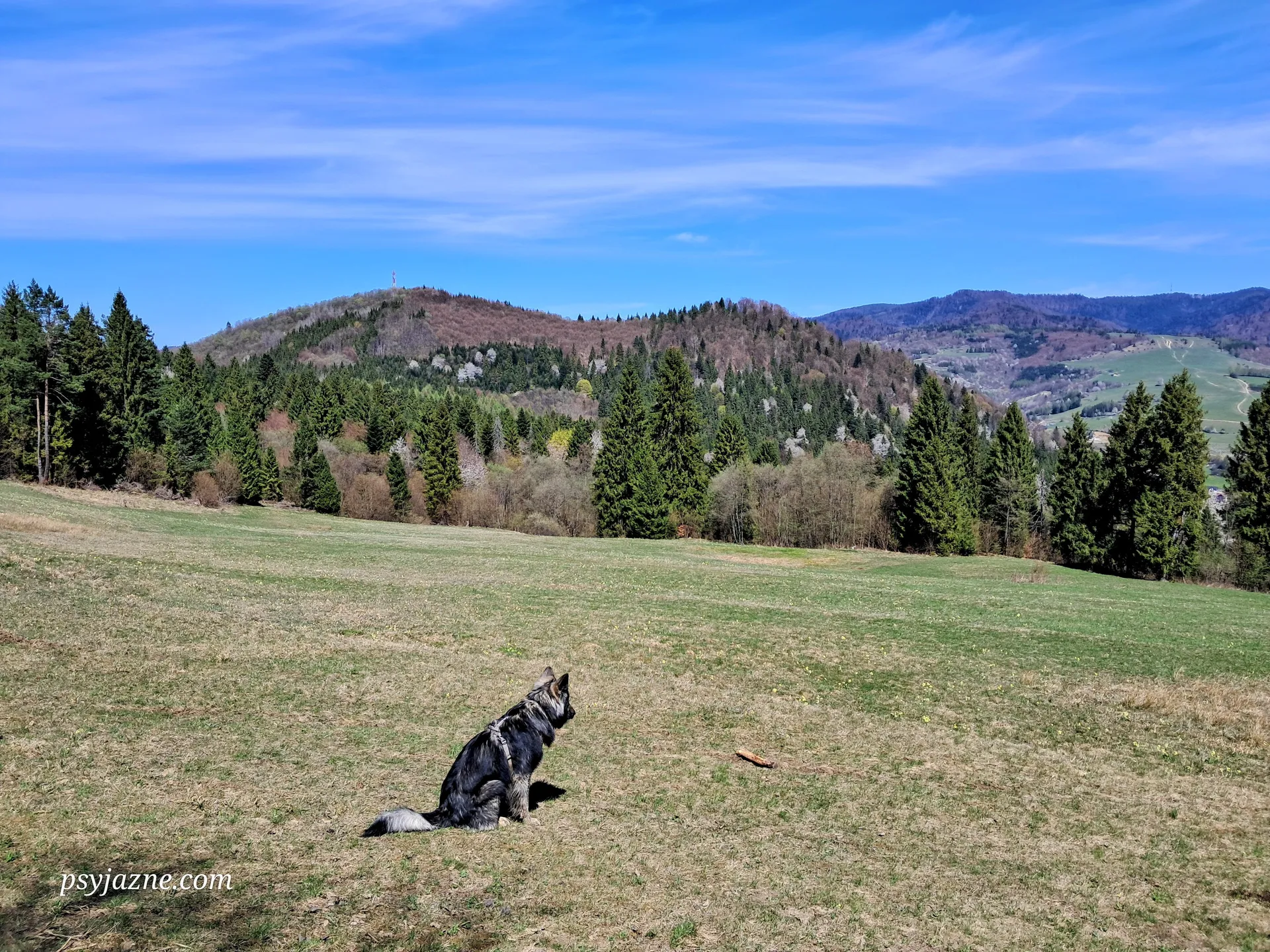 Widok na Jarmutę