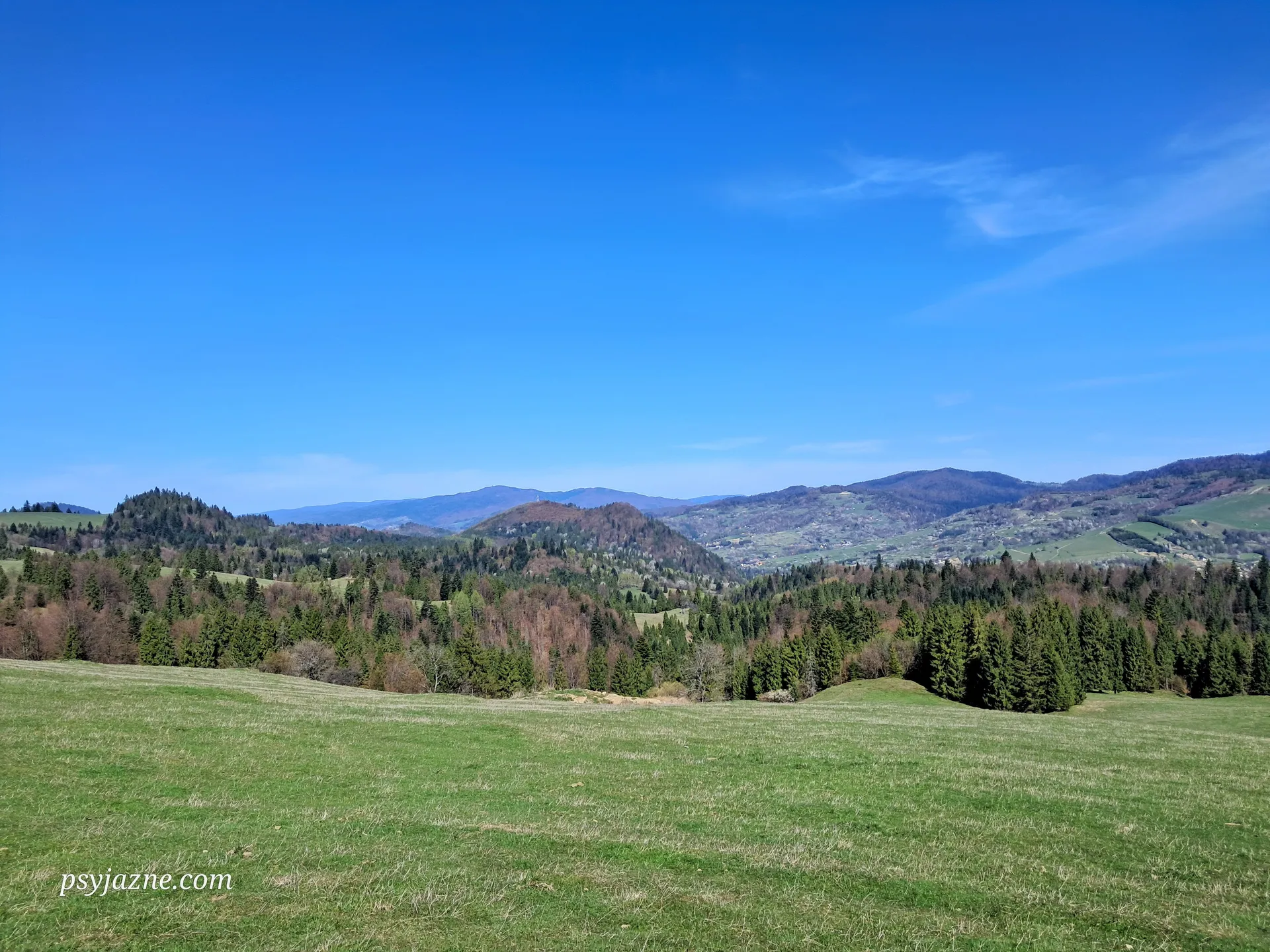 Widok na Jarmutę