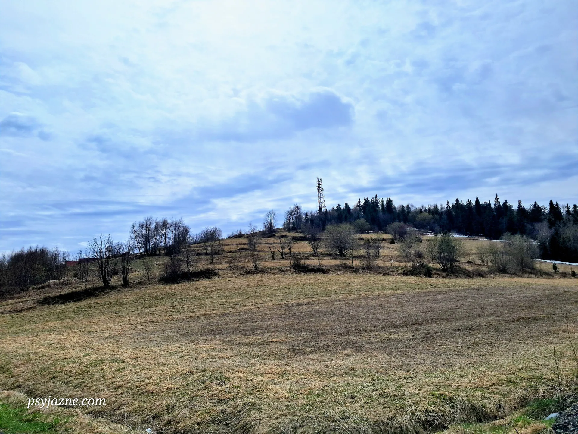 Widok na Koskową Górę
