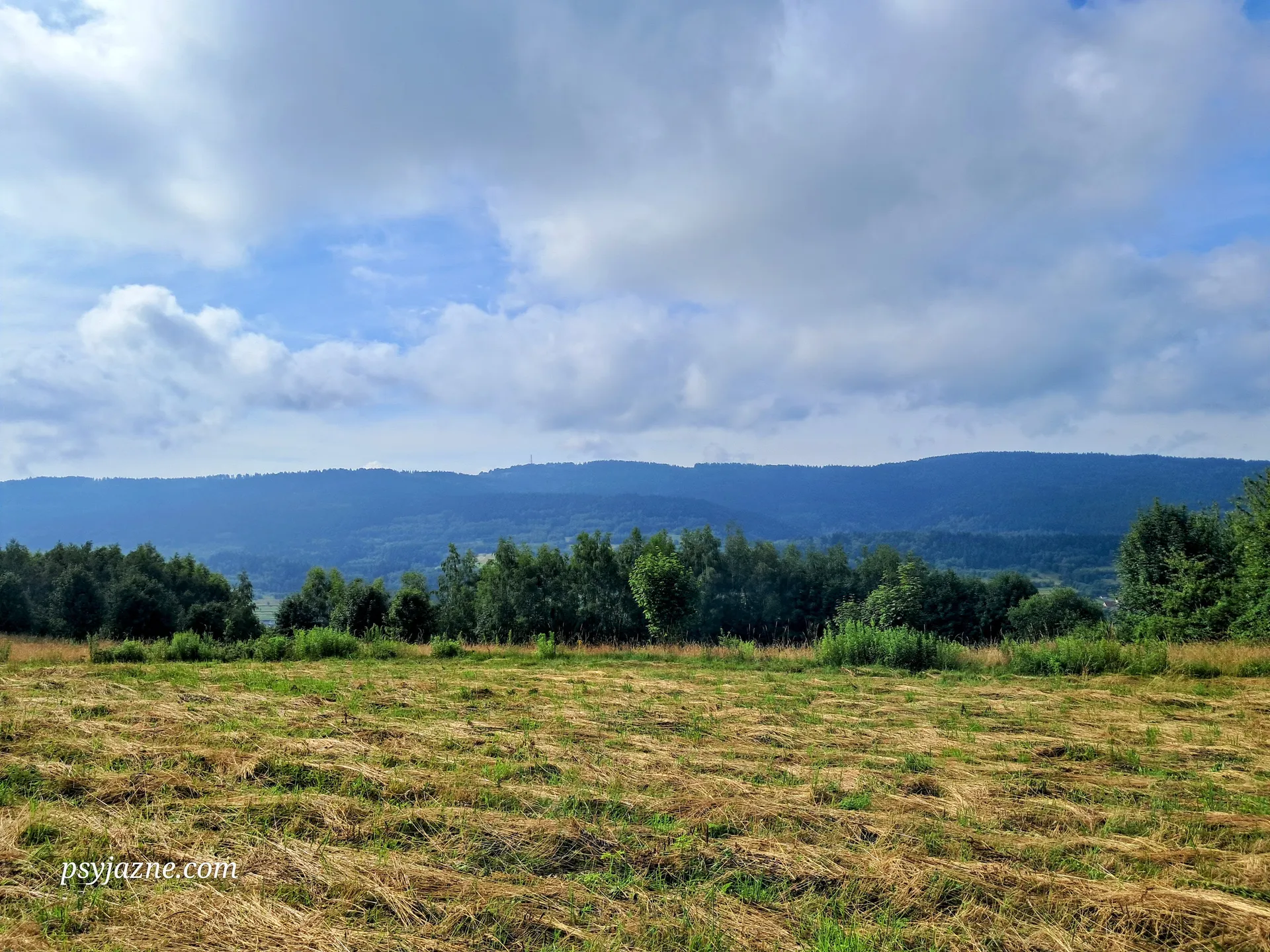 Widok na Koskową Górę