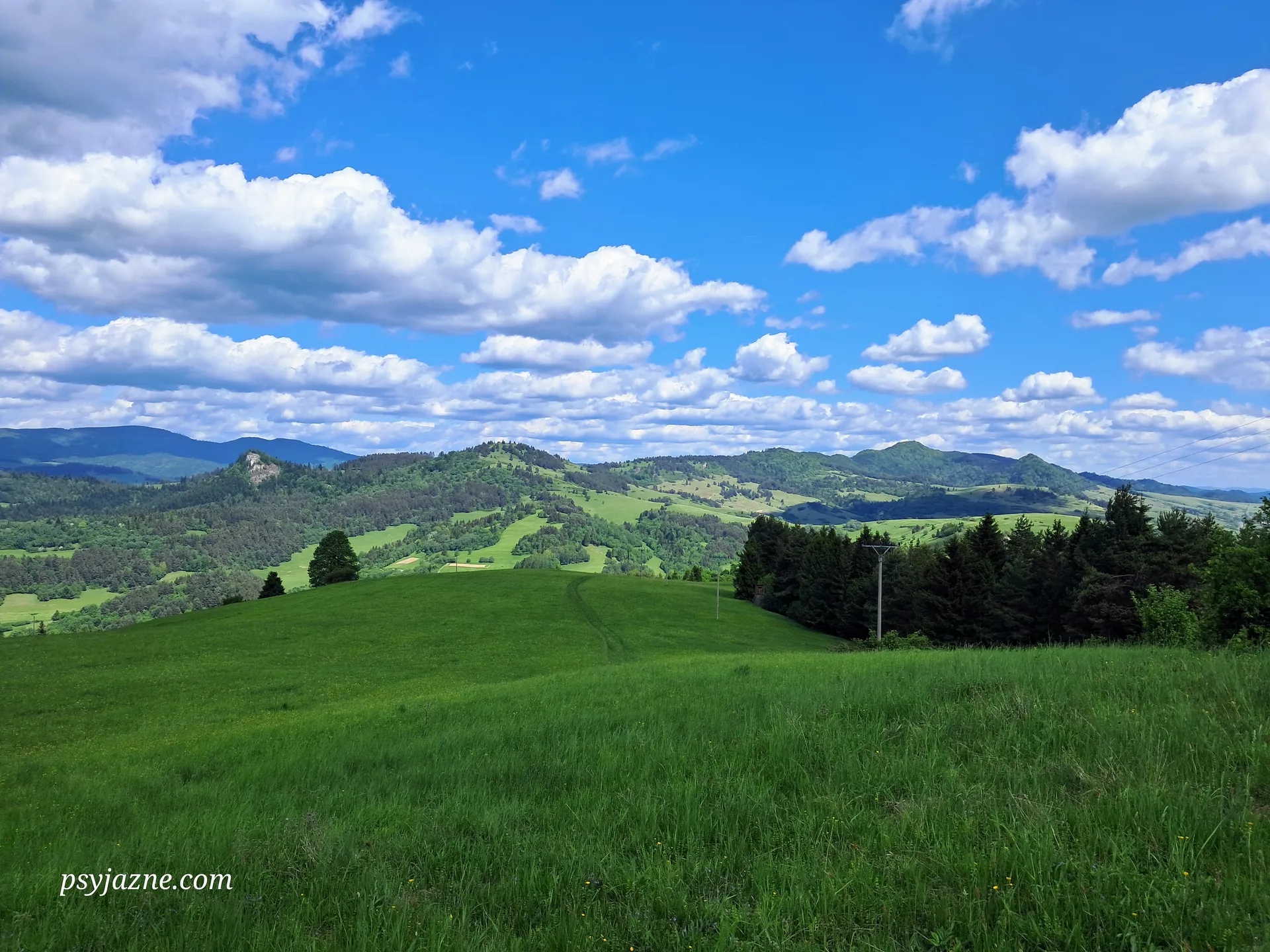 Widok na Małe Pieniny