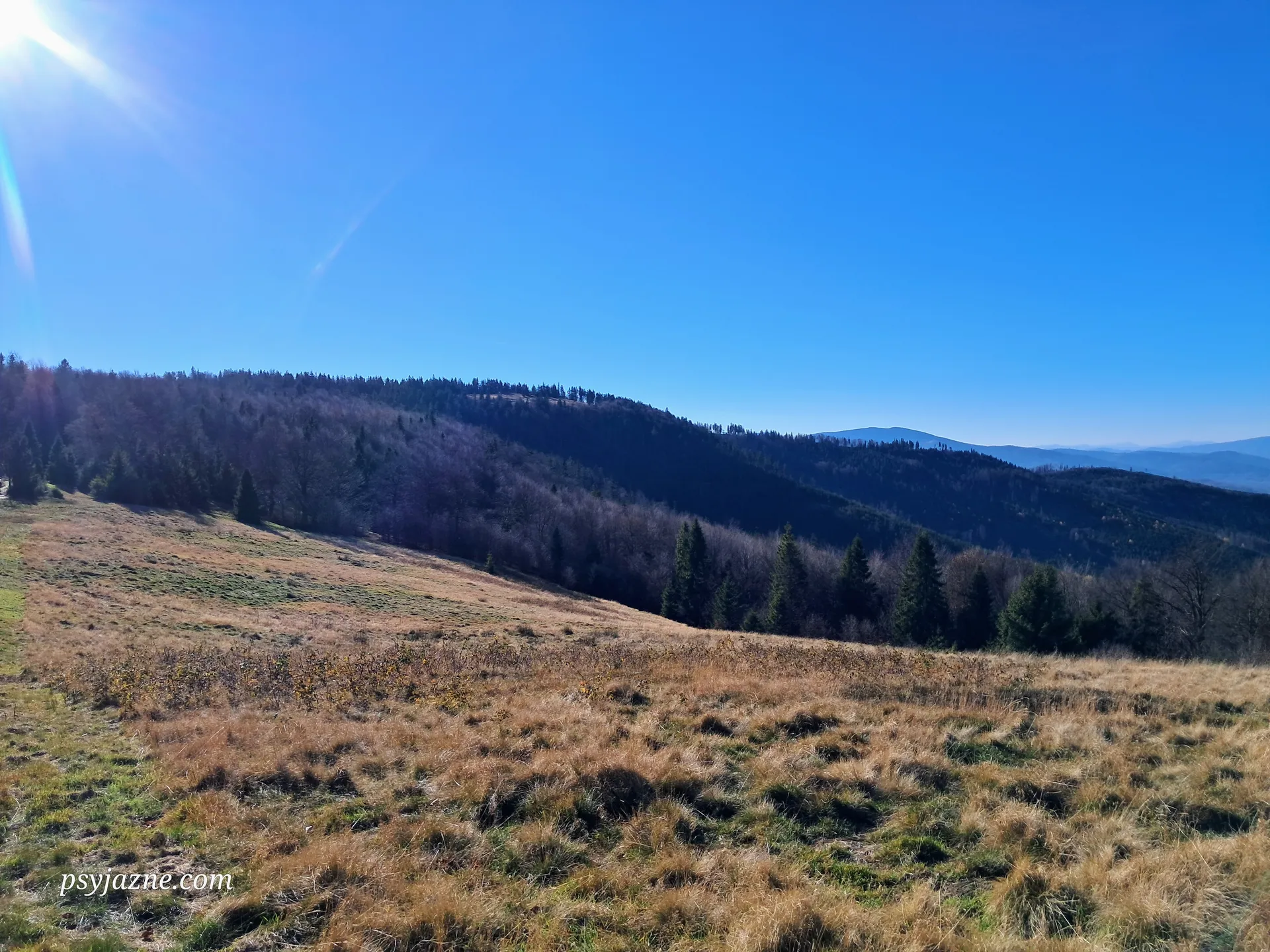 Widok na Mędralową
