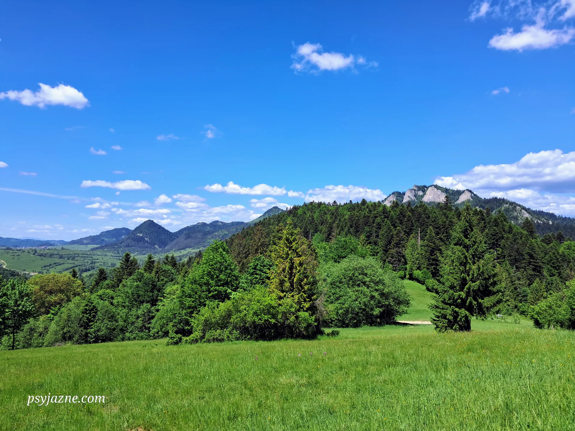 Widok na Pieniny