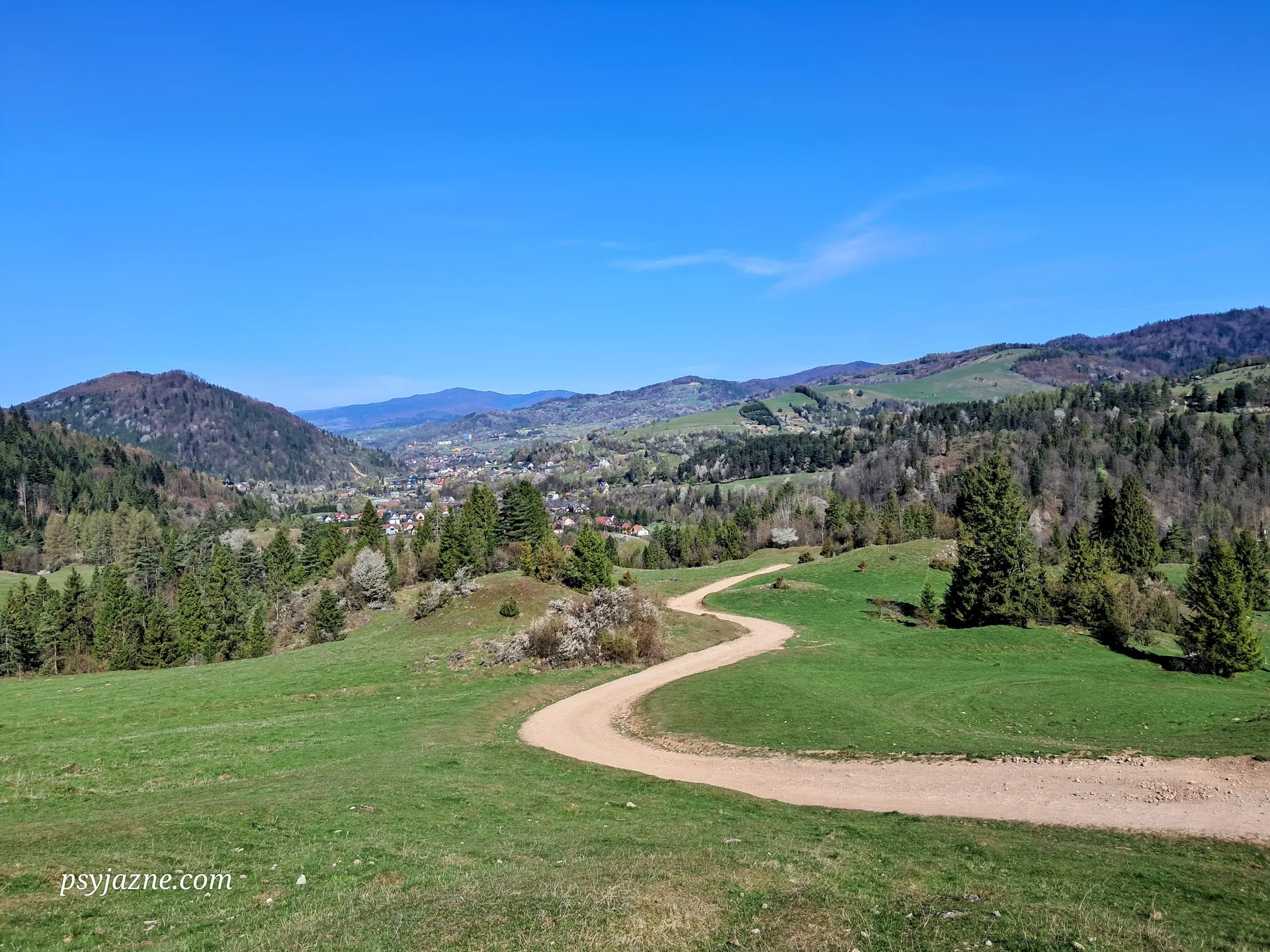 Widok na pasmo Radziejowej