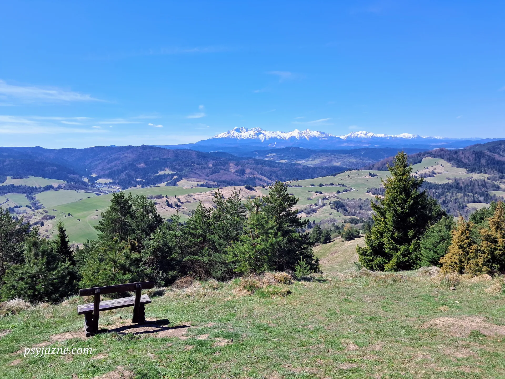 Widok na Tatry z Wysokiego Wierchu