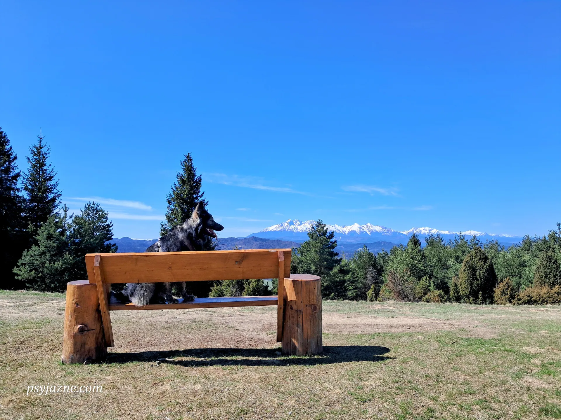 Widok na Tatry Słowackie