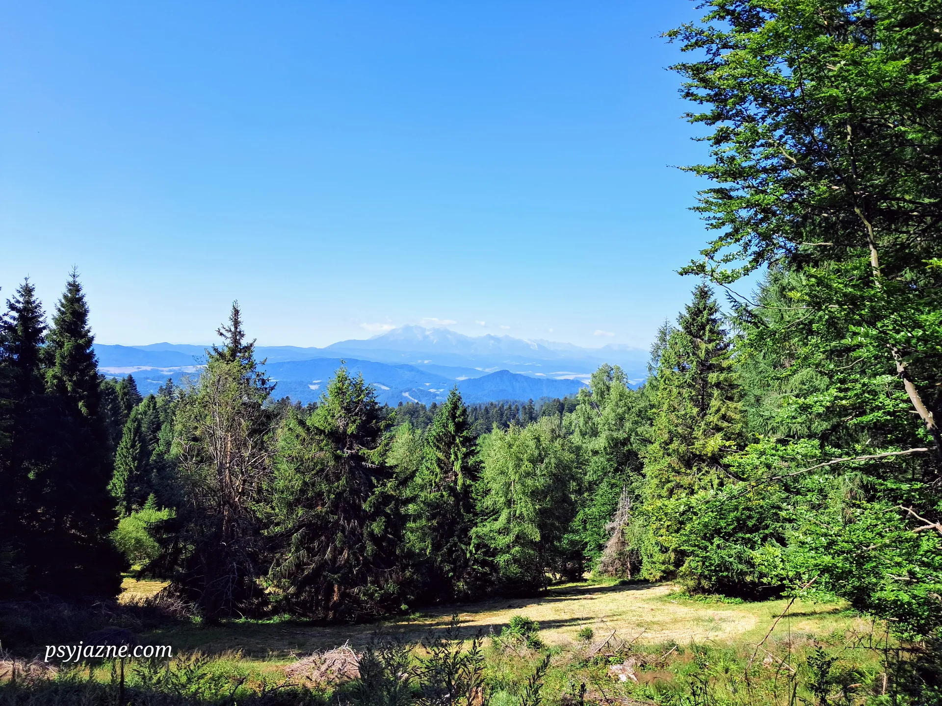Widok na Tatry