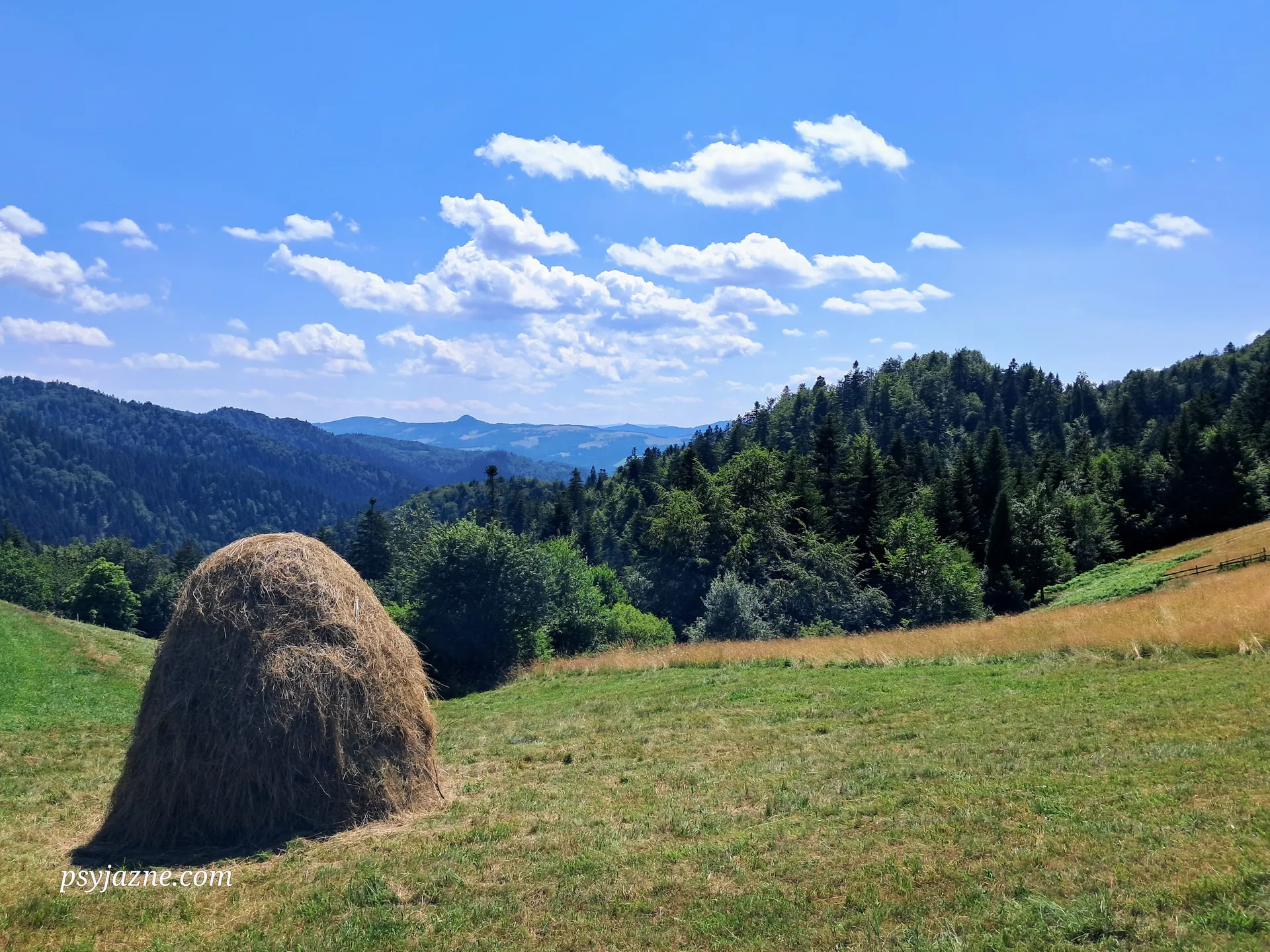 Widok na Pieniny