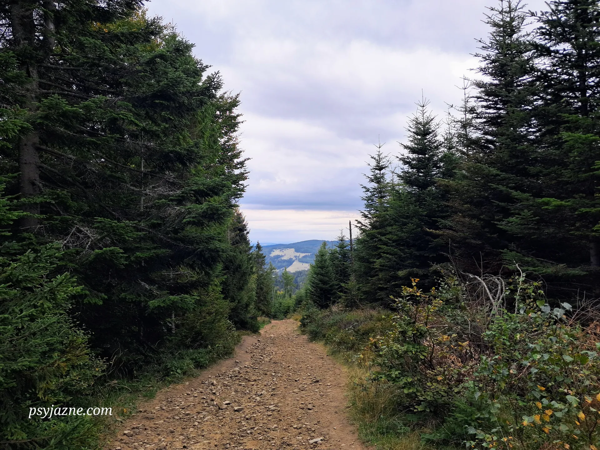 Widok na halę na Przełęczy Rozdziela, Małe Pieniny