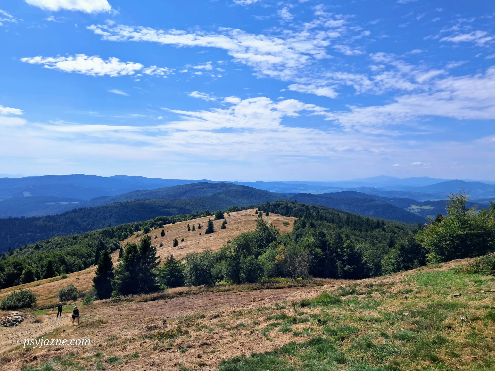 Widok na Polanę Stumorgową spod Mogielicy