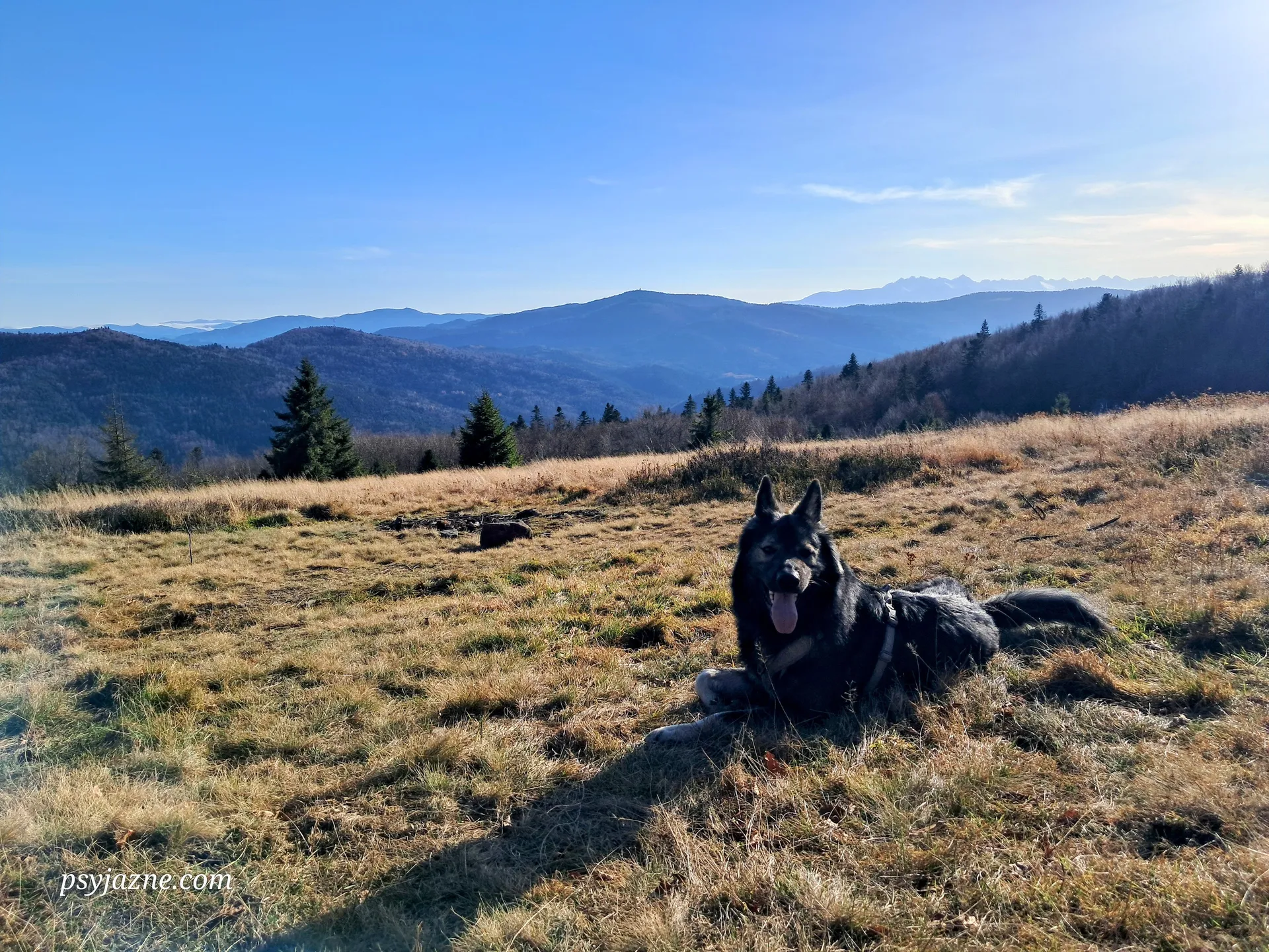 Widok na Tatry