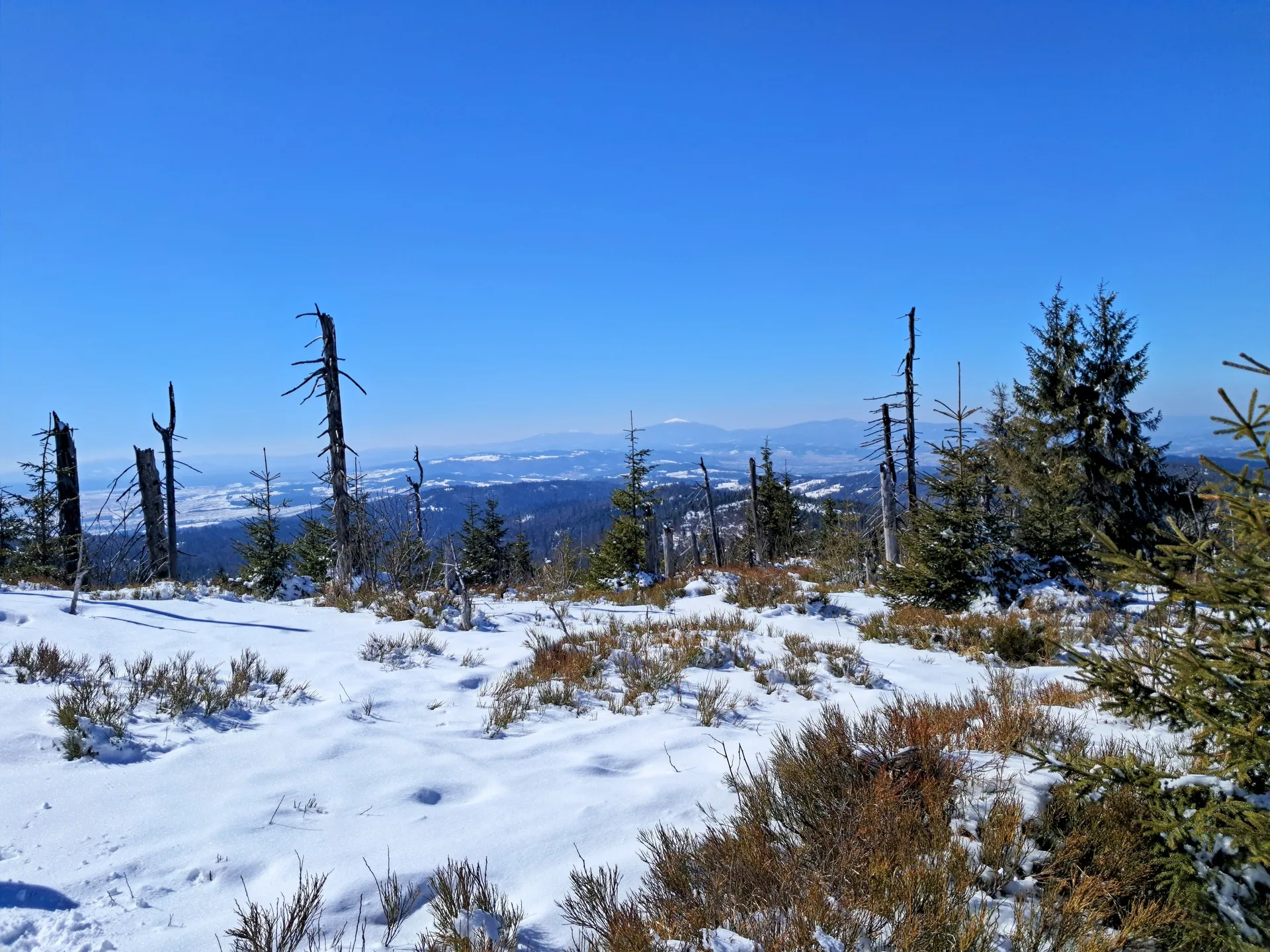 Widok z Turbacza