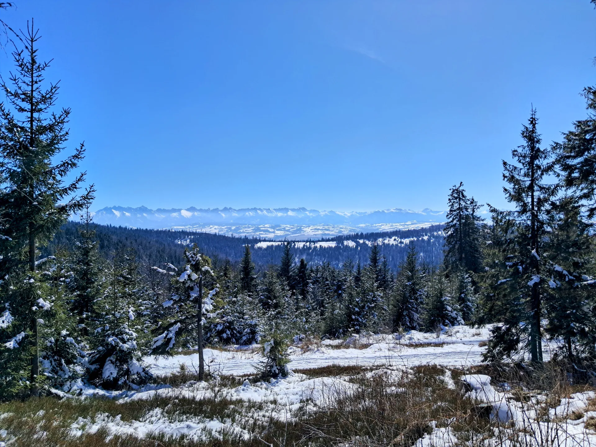 Widok z Turbacza