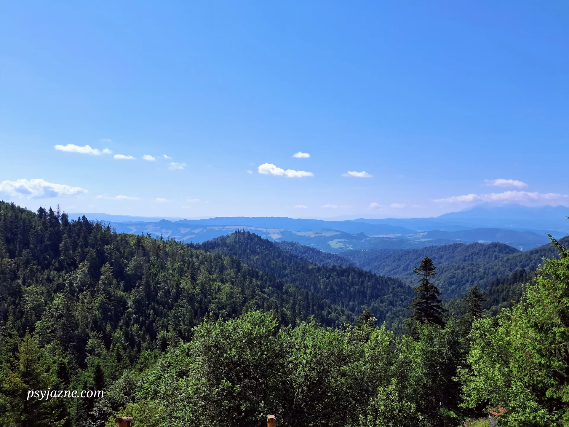 Widok ze schroniska na Przehybie