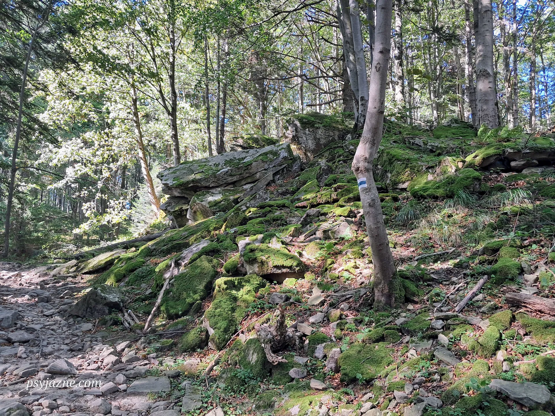 Wychodnia piaskowców Wietrzne Dziury
