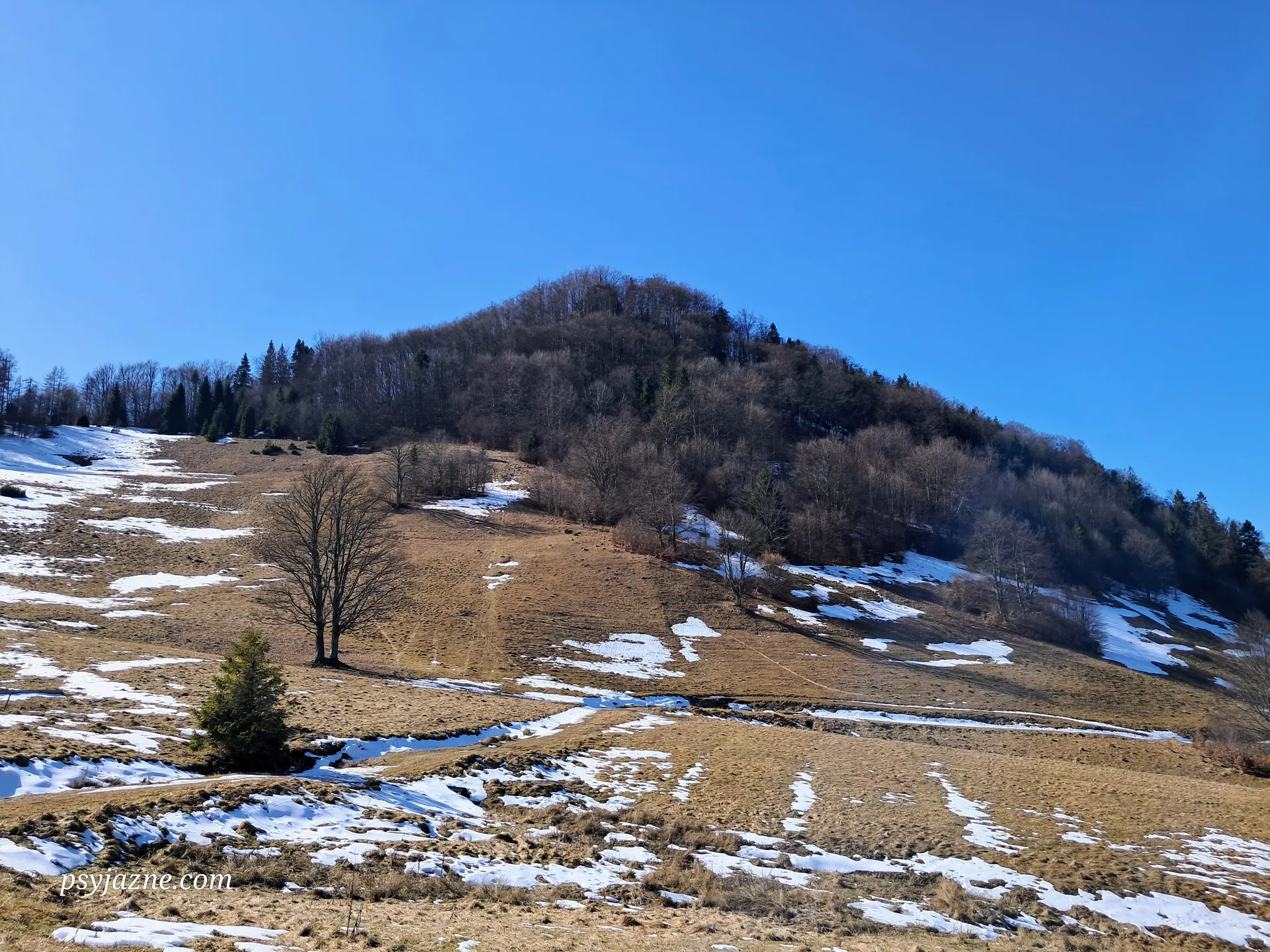 Widok na Wysoką