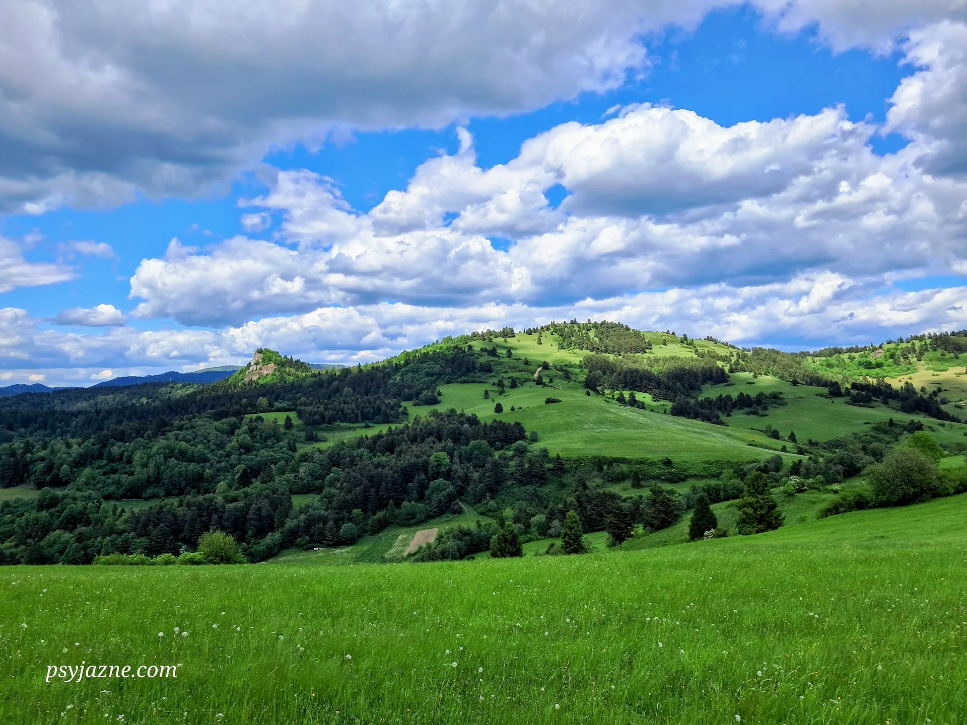 Widok na Wysoki Wierch i skałę Rabsztyn 