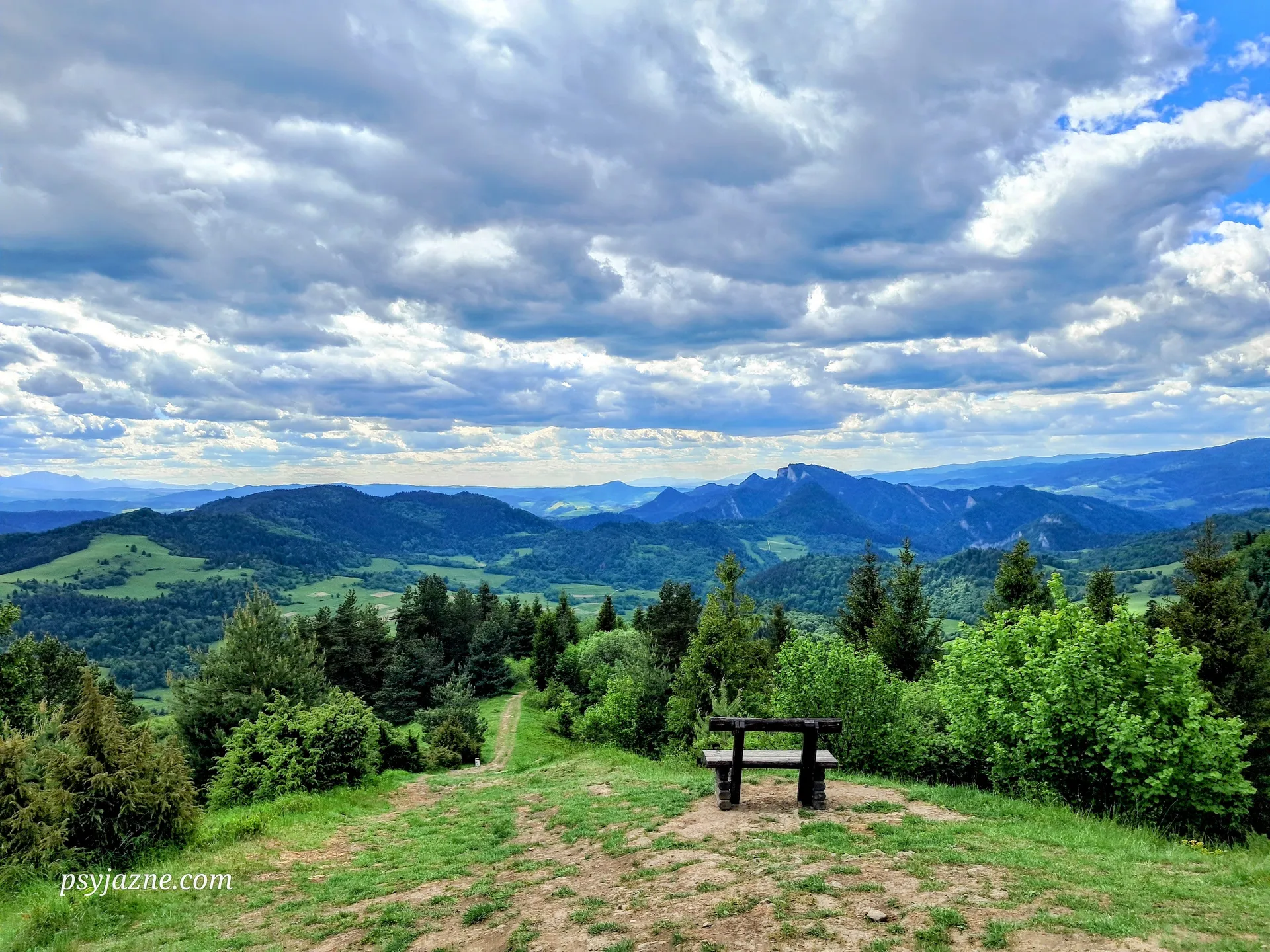 Wysoki Wierch widok na Pieniny