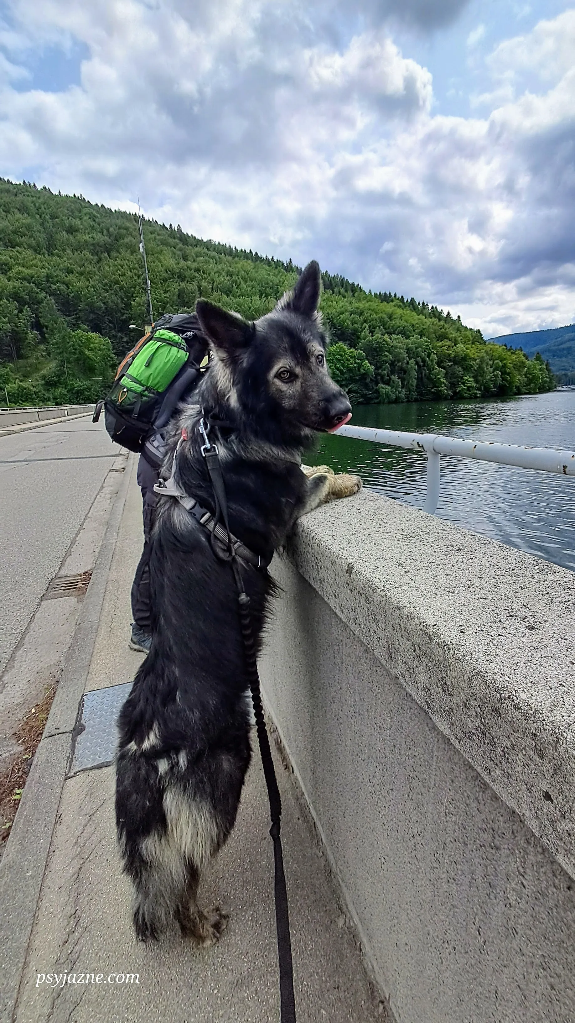 Zapora Porąbka