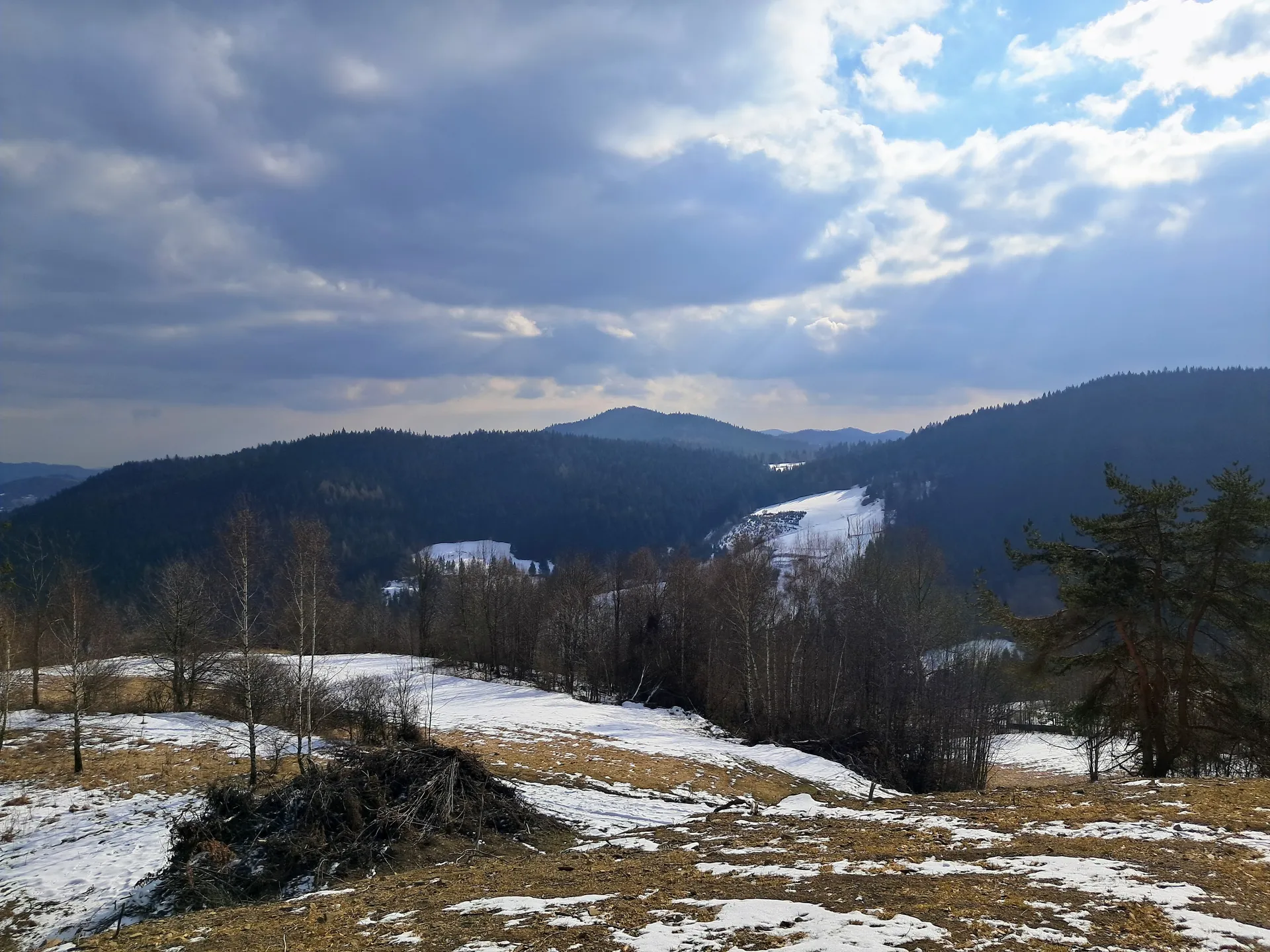 Zasadne, czerwony szlak