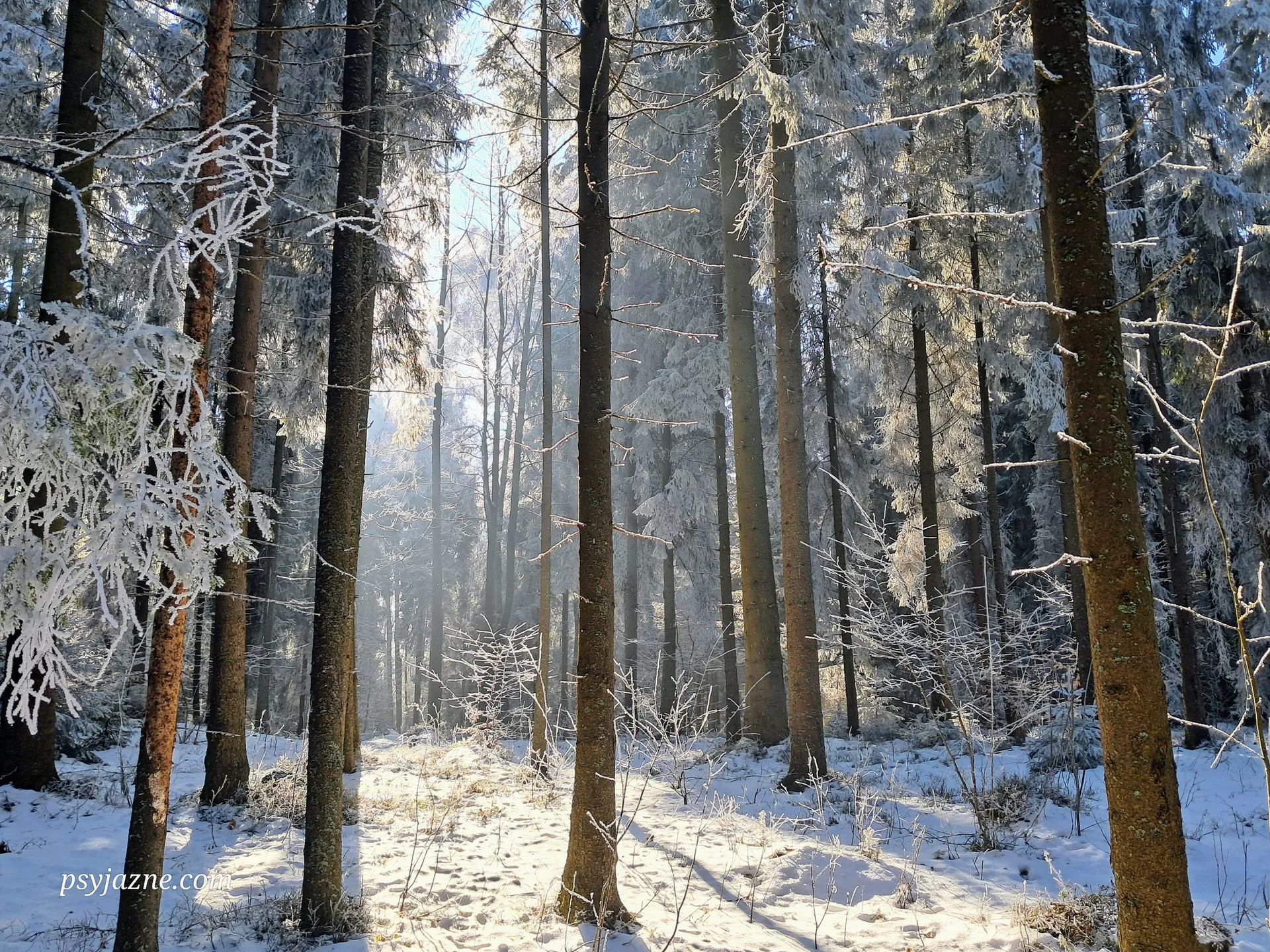 Zima w Beskidzie Wyspowym