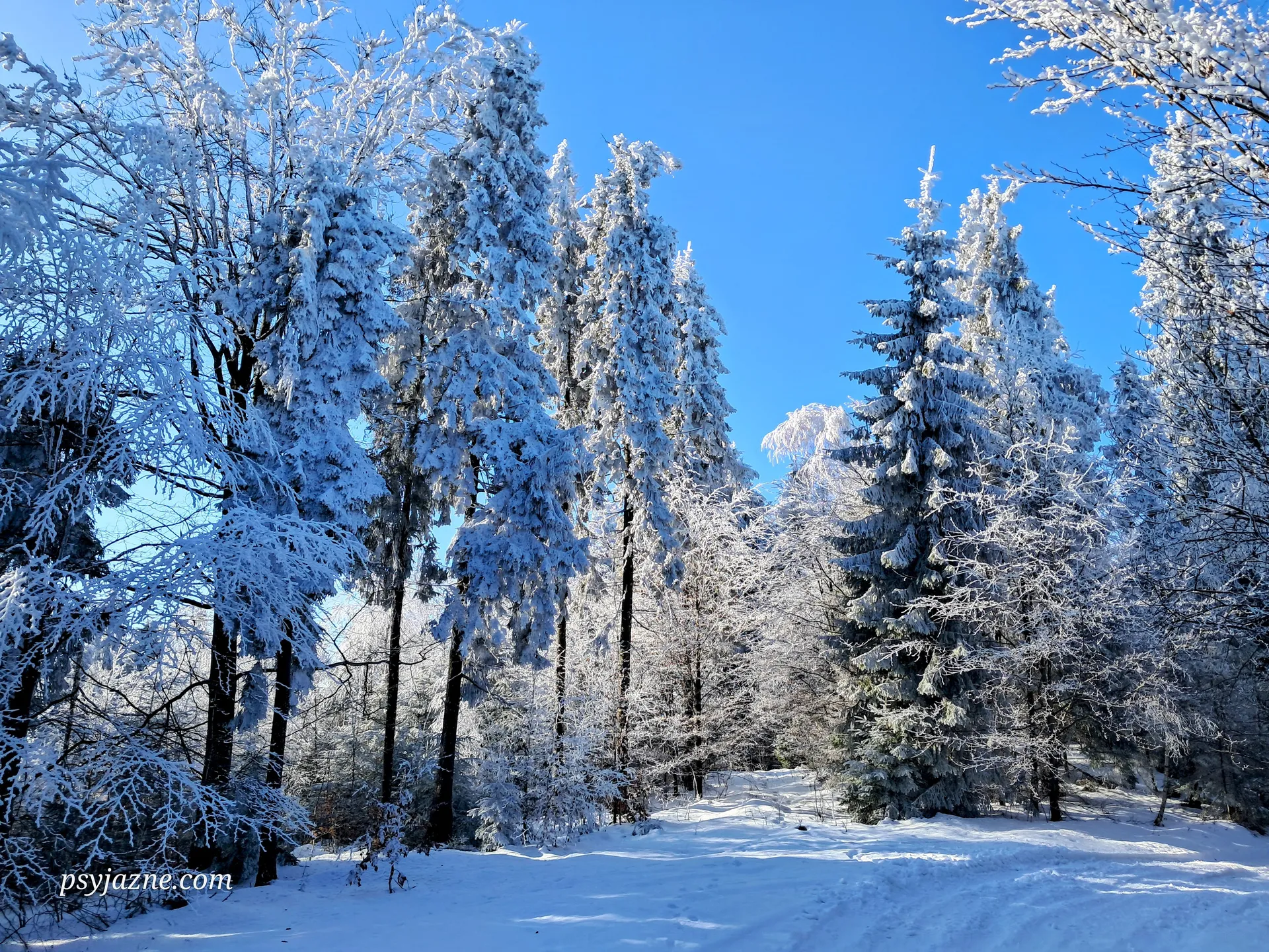 Zima w Beskidzie Wyspowym