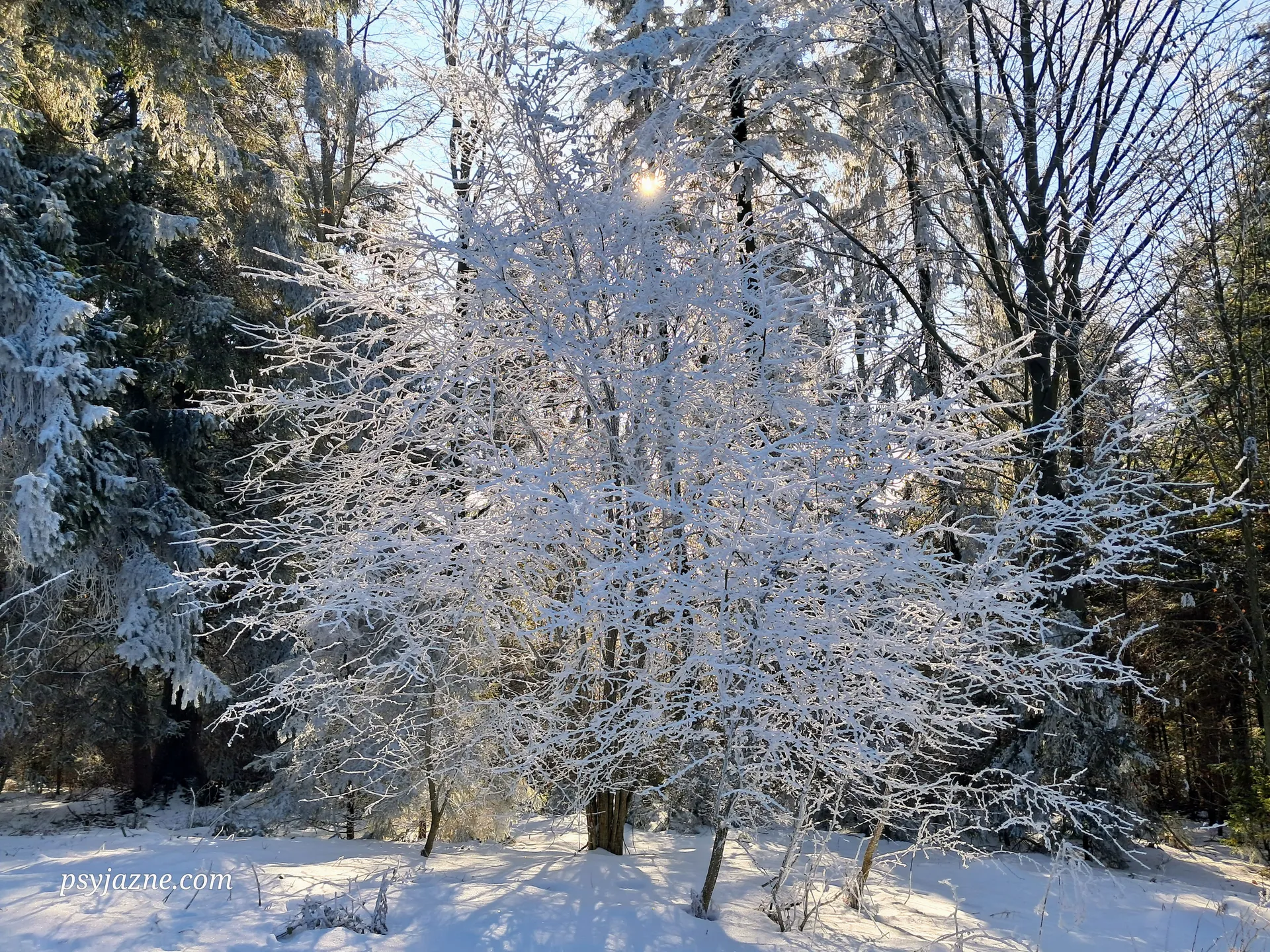 Zima w Beskidzie Wyspowym