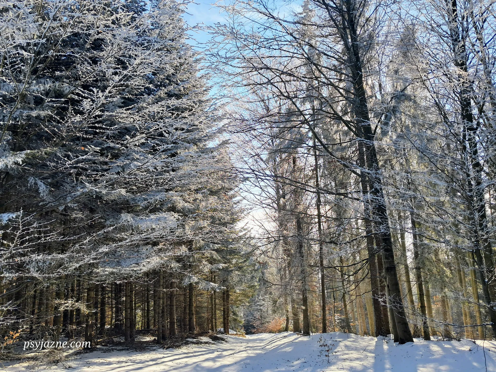 Zima w Beskidach